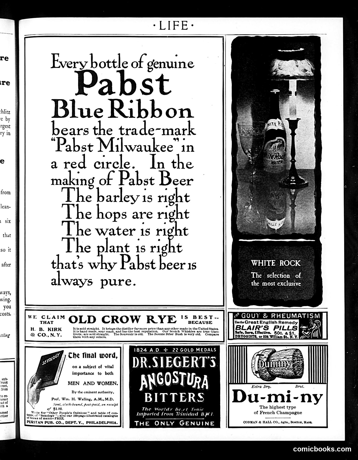 Life — May 21, 1903 — page 21 of 24
