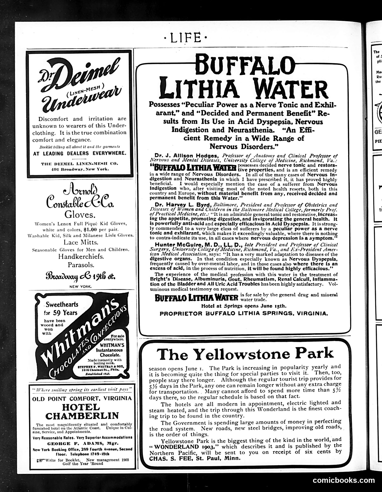 Life — May 28, 1903 — page 20 of 22