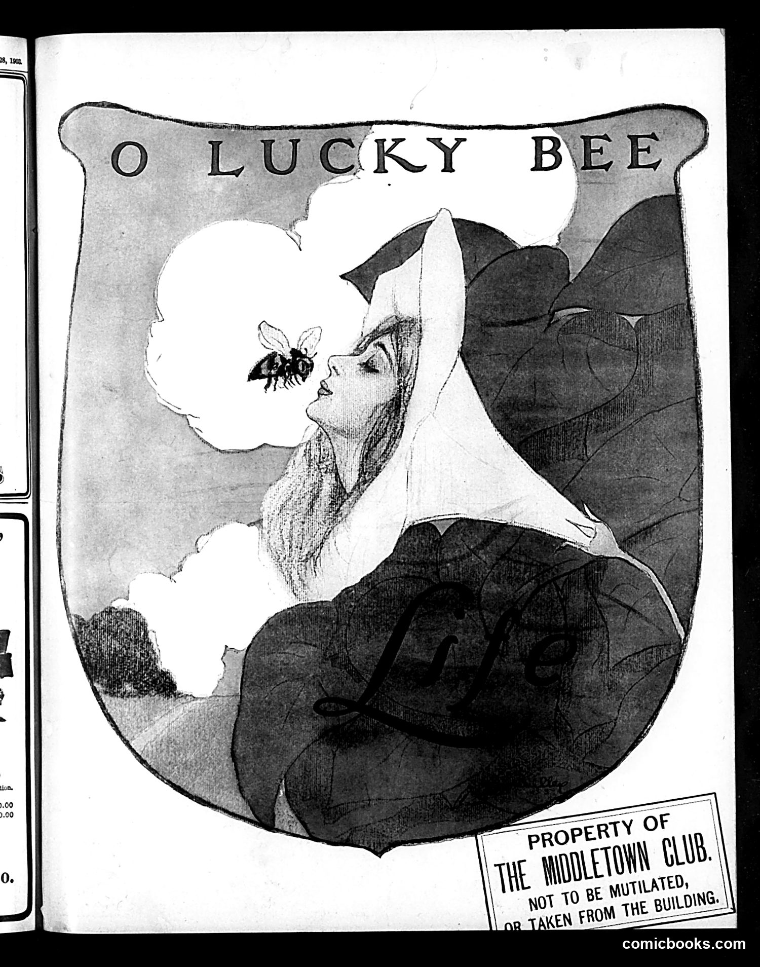 Life — June 4, 1903