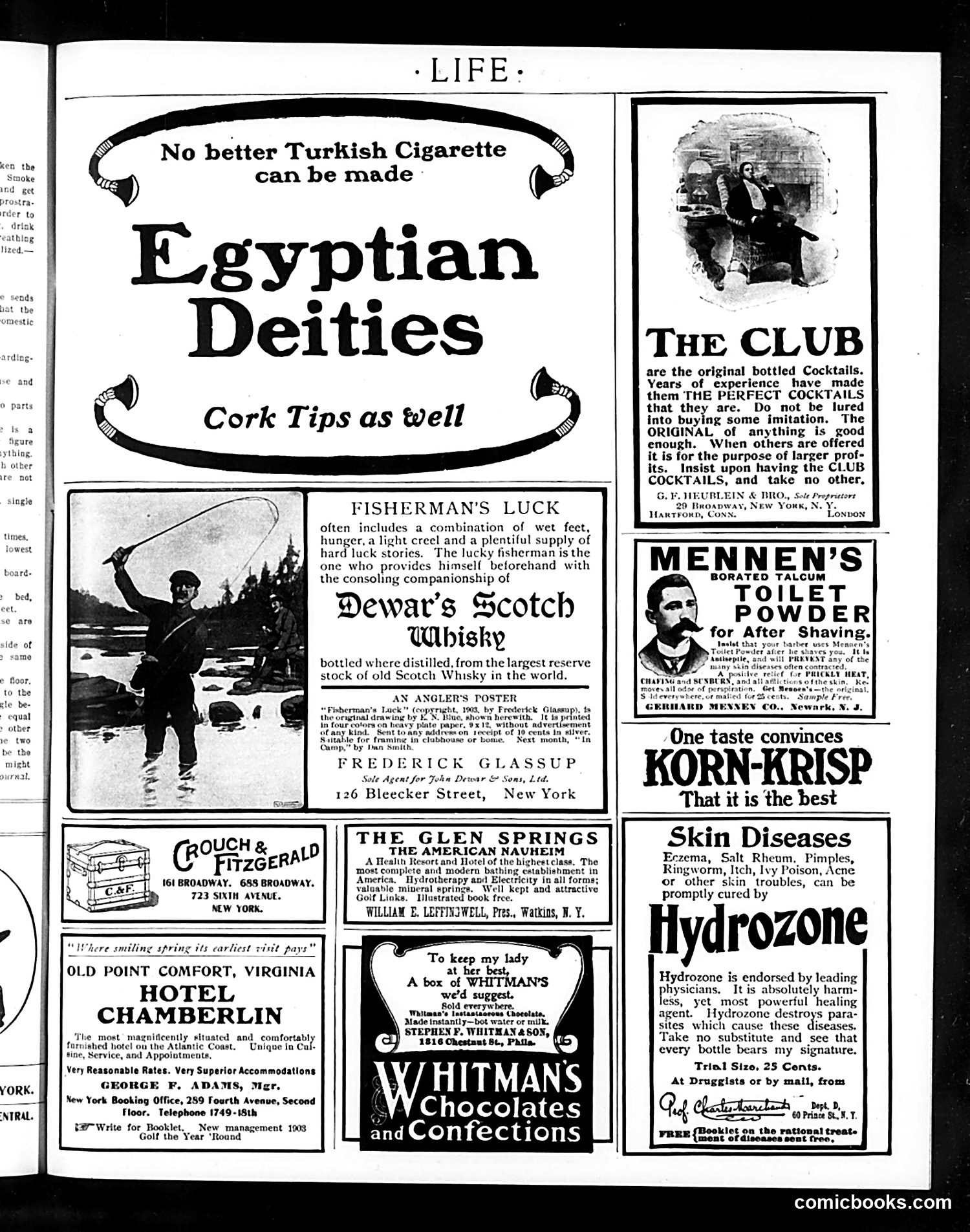 Life — June 11, 1903 — page 17 of 20