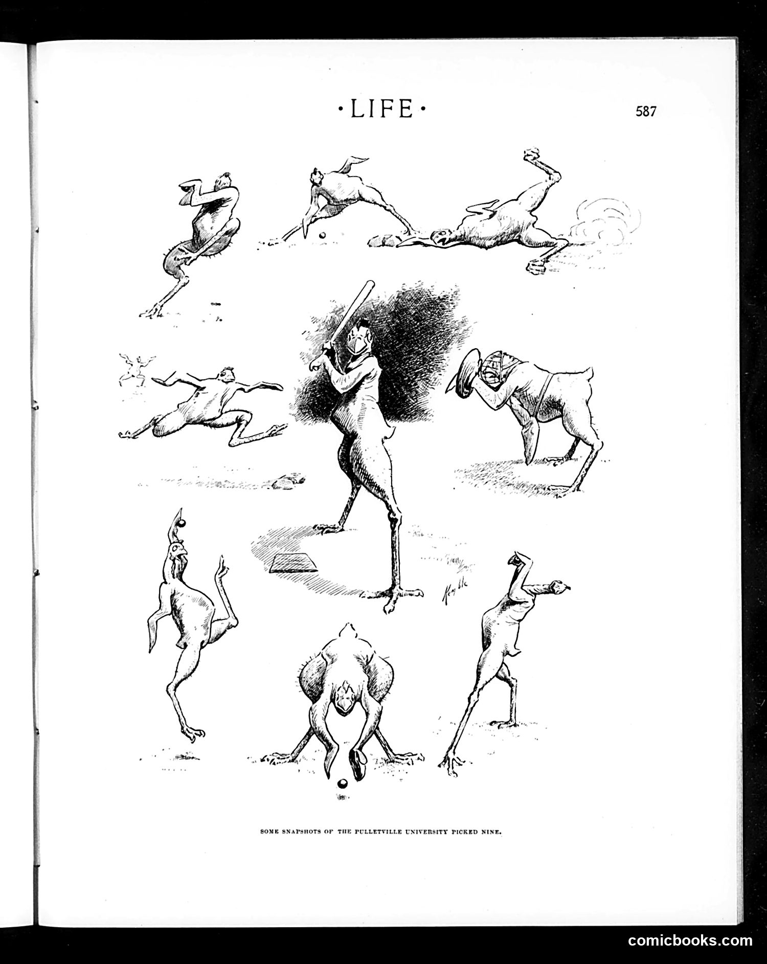 Life — June 25, 1903 — page 5 of 23