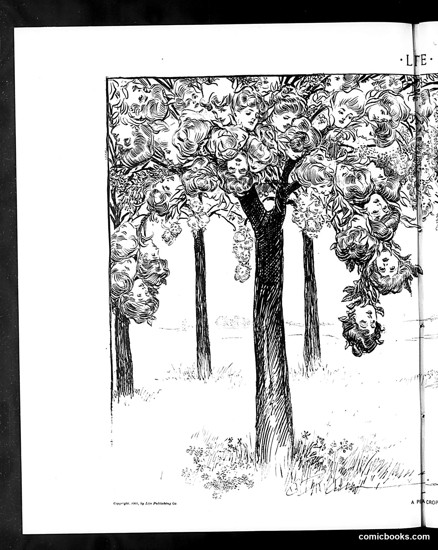 Life — June 25, 1903 — page 10 of 23