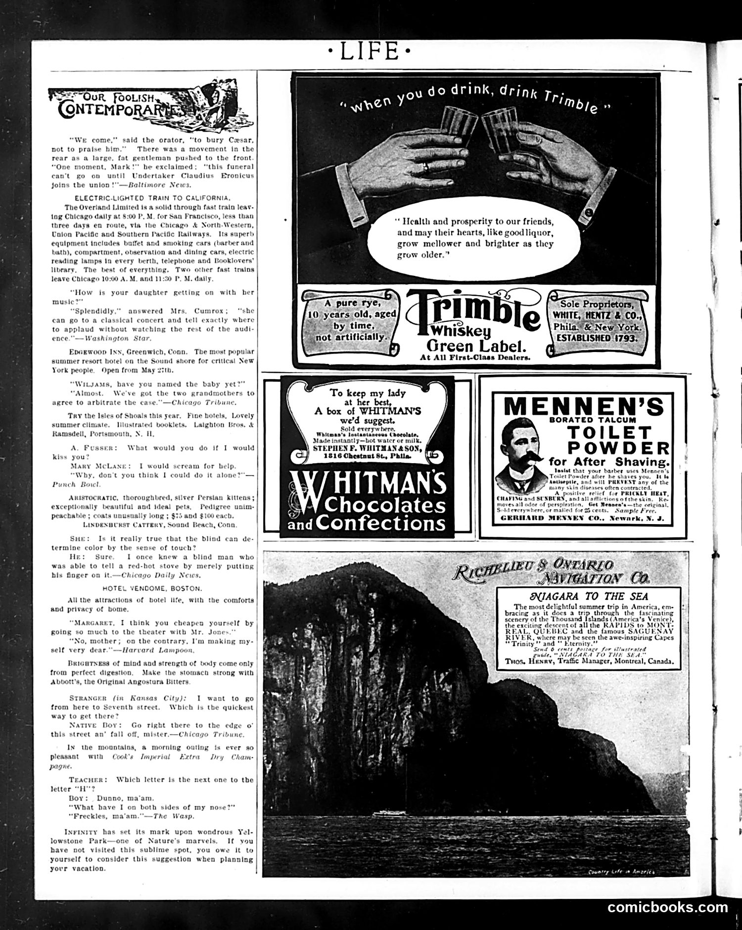 Life — June 25, 1903 — page 18 of 23