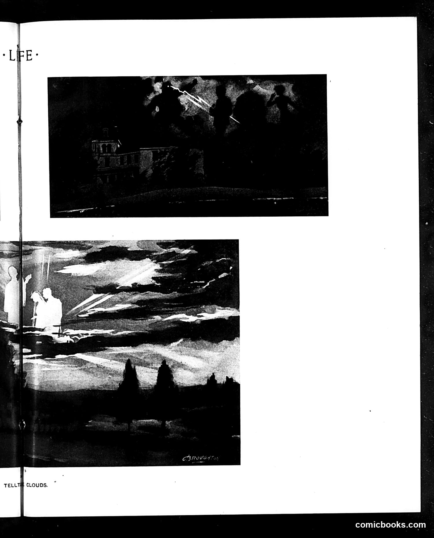 Life — July 2, 1903 — page 17 of 32