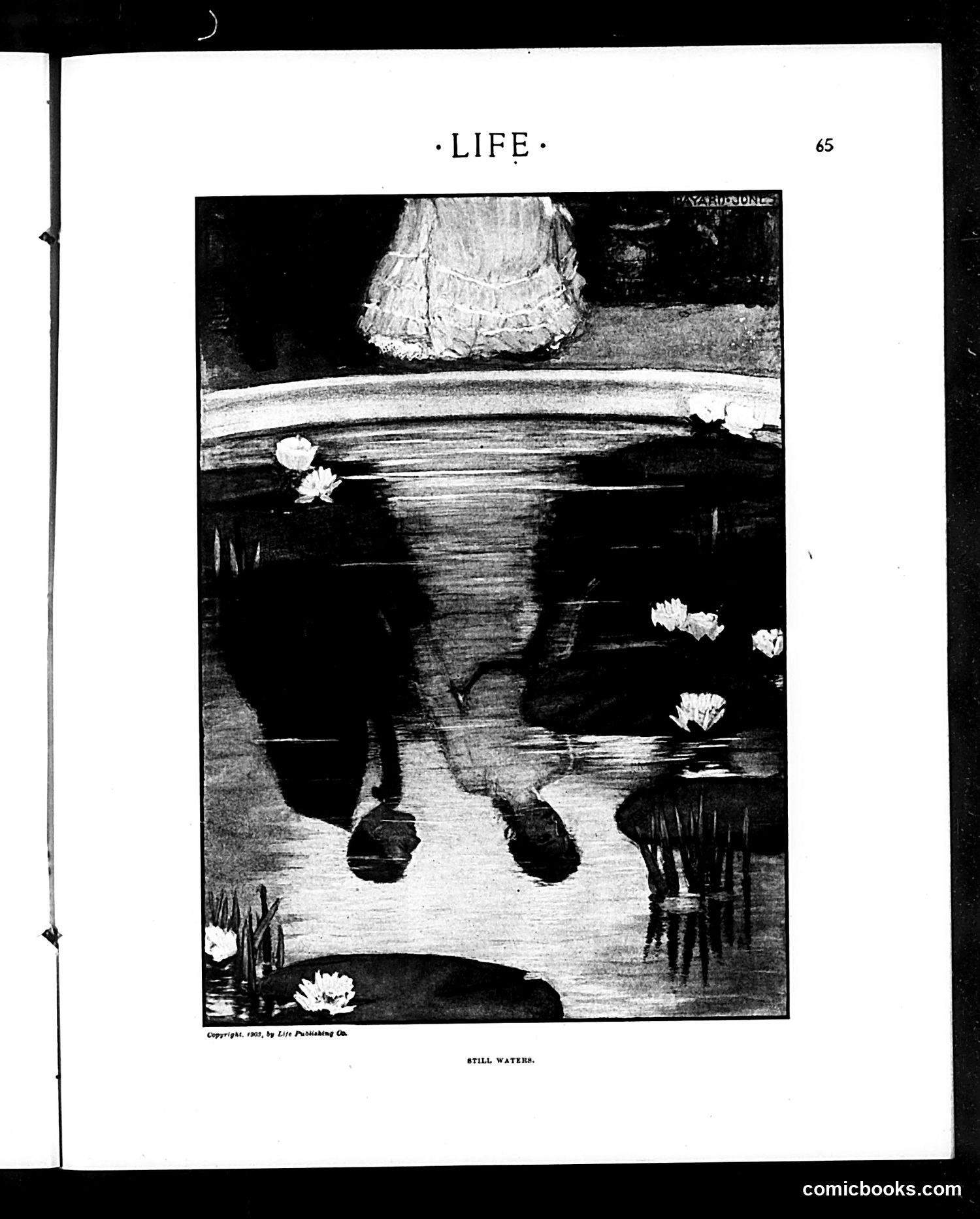 Life — July 16, 1903 — page 13 of 20