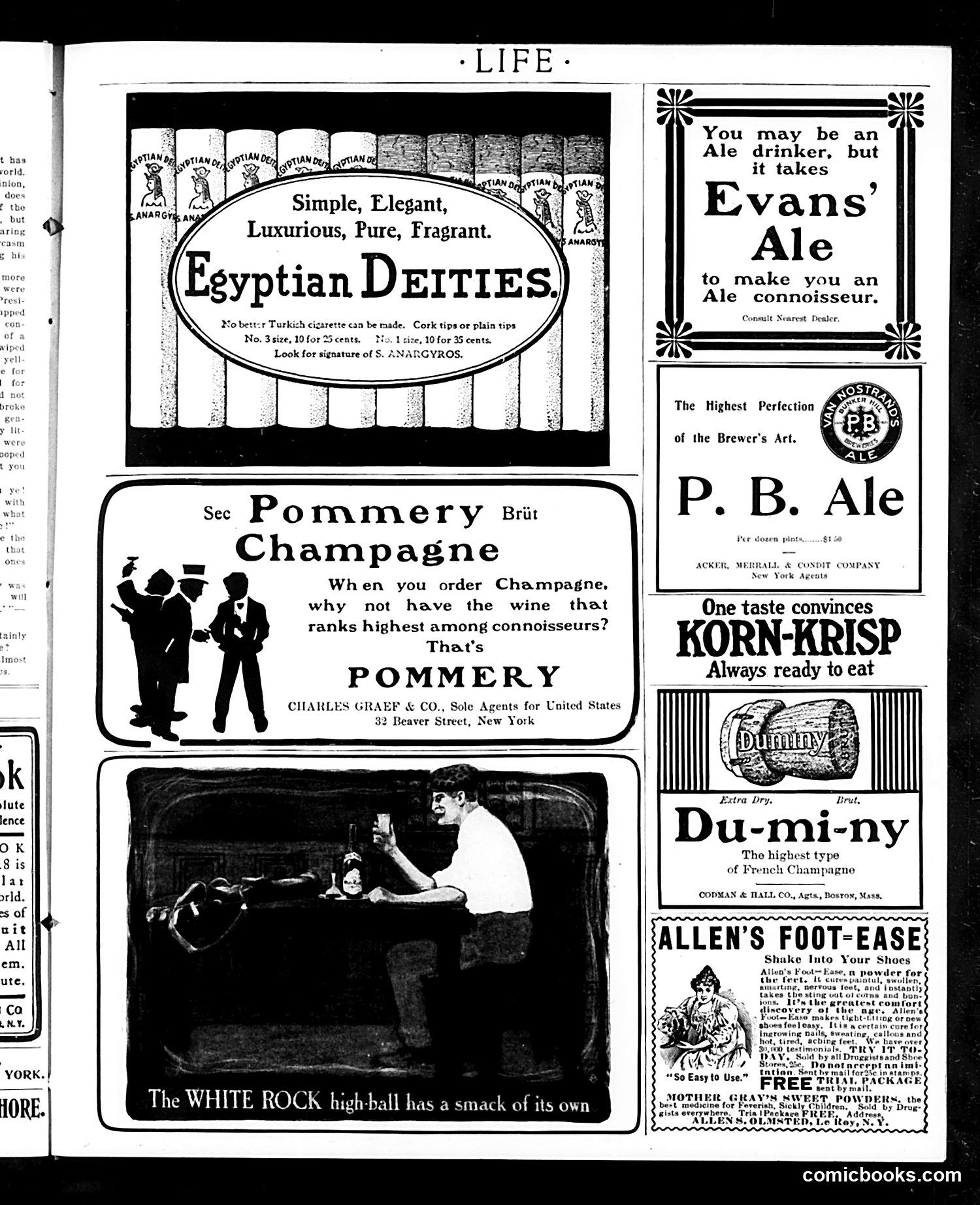 Life — July 16, 1903 — page 17 of 20