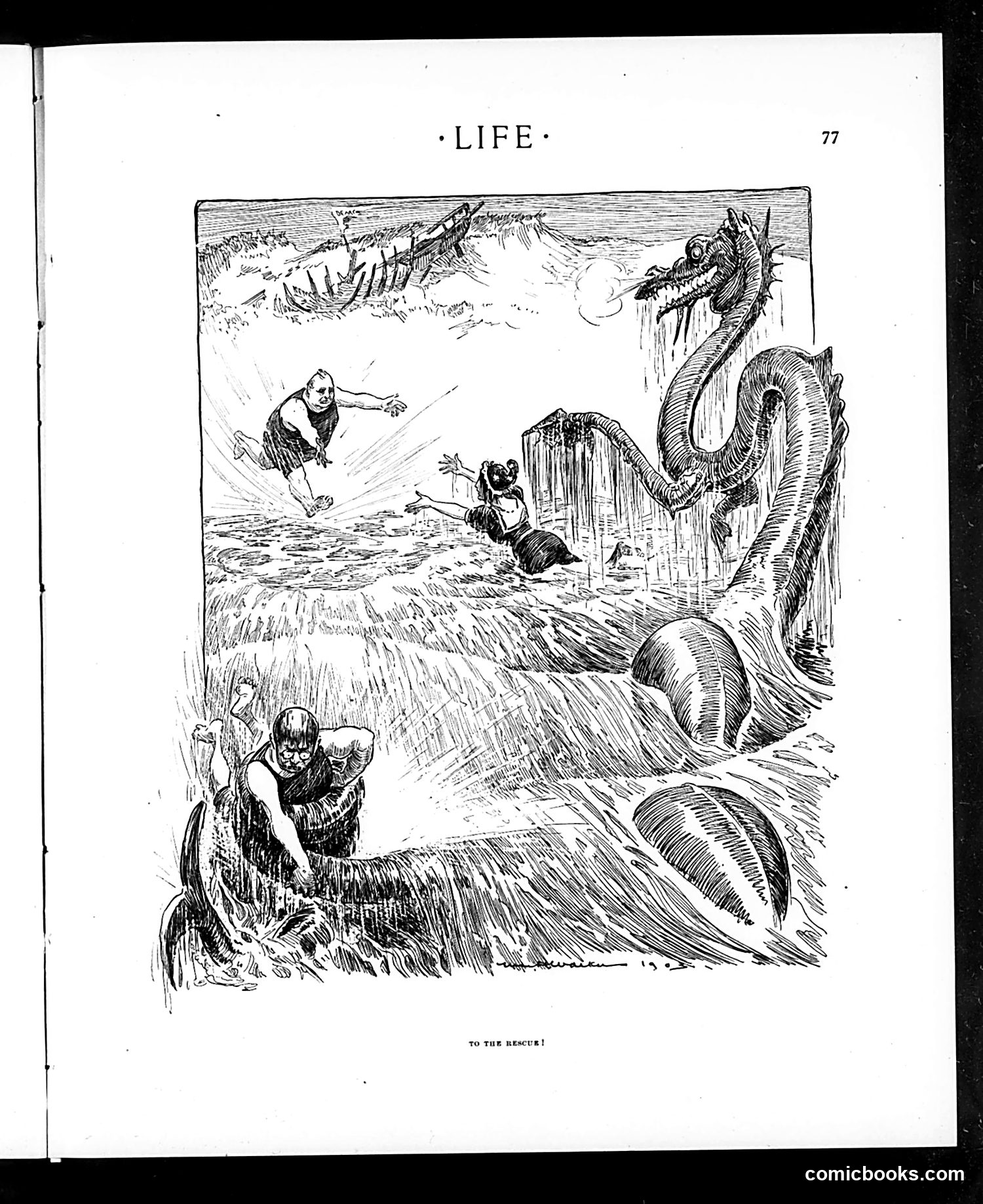 Life — July 23, 1903 — page 5 of 28