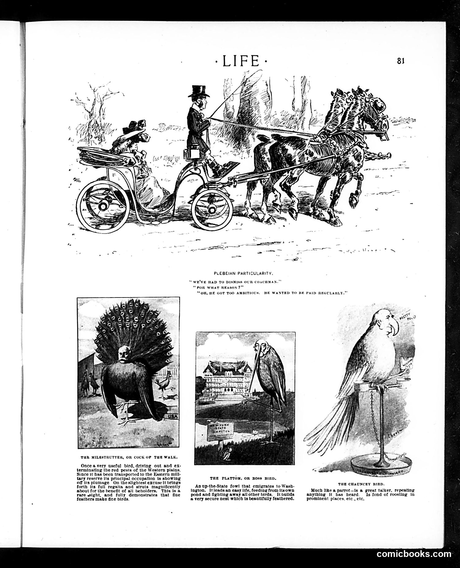 Life — July 23, 1903 — page 9 of 28