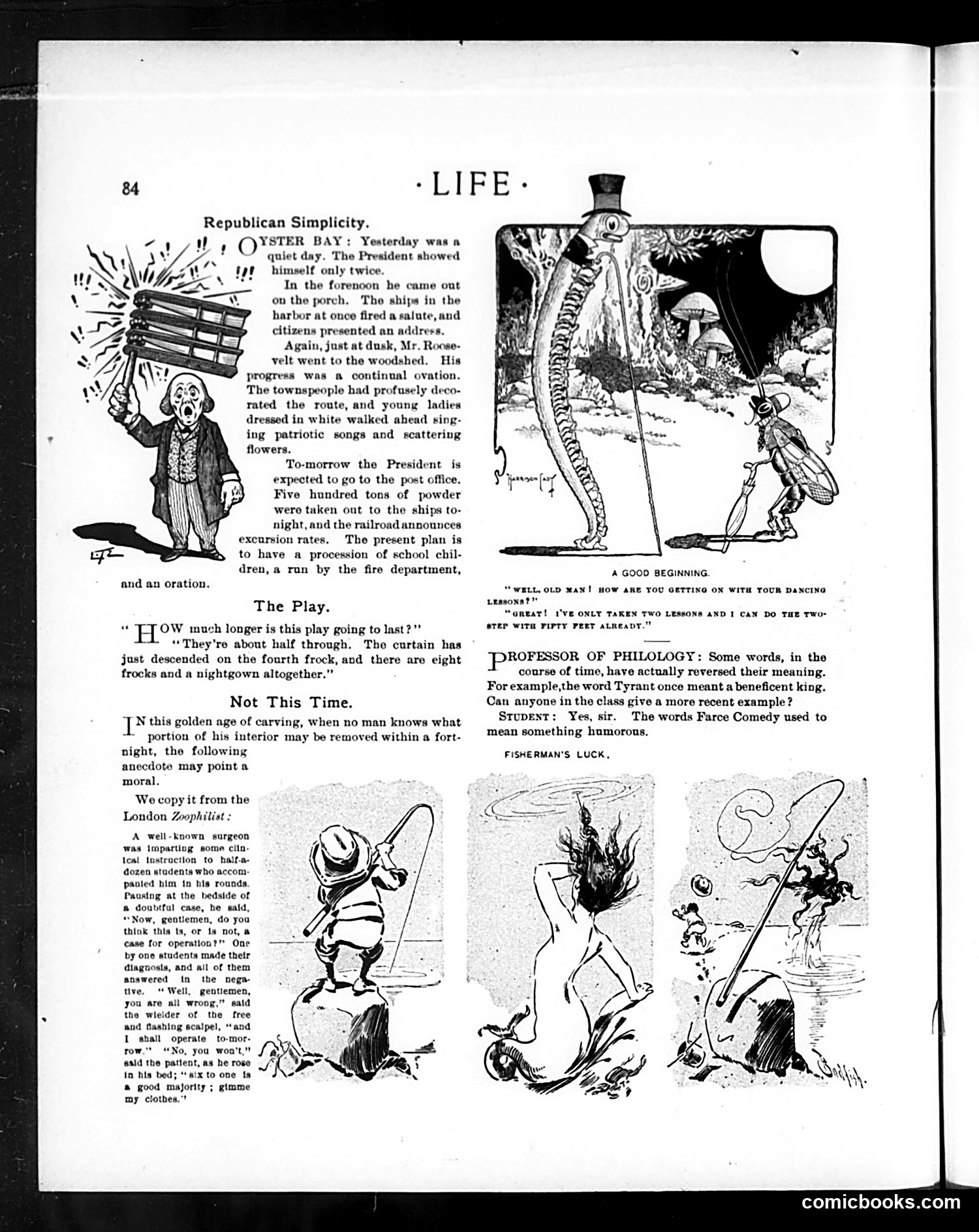 Life — July 23, 1903 — page 18 of 28