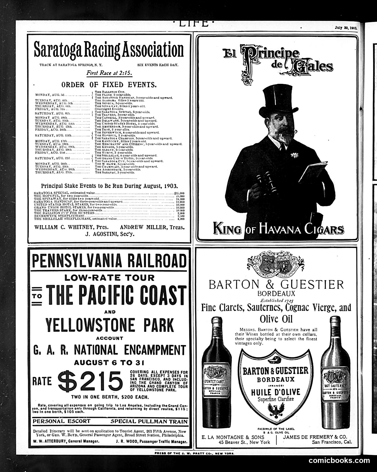 Life — July 30, 1903 — page 24 of 24