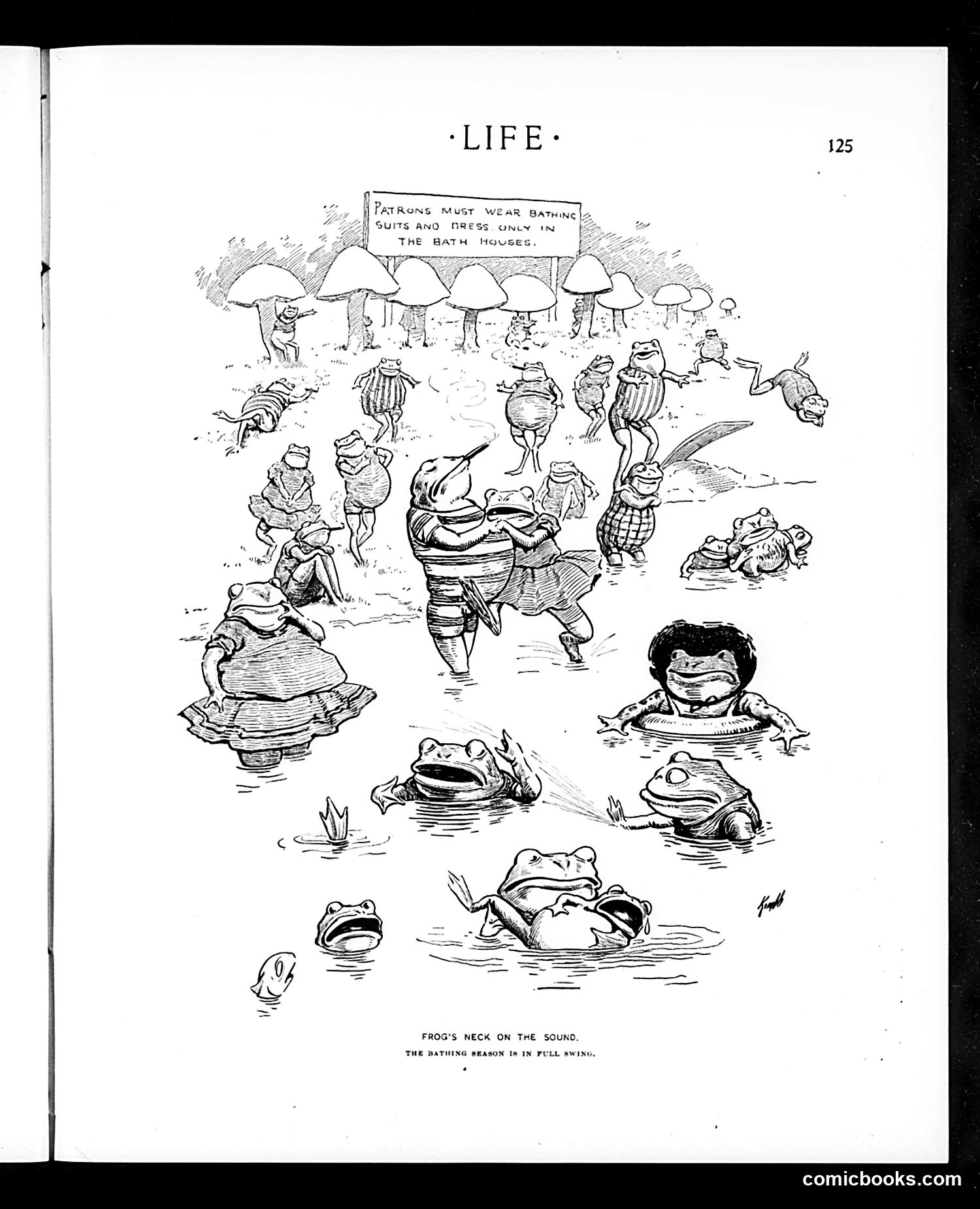 Life — August 6, 1903 — page 11 of 32