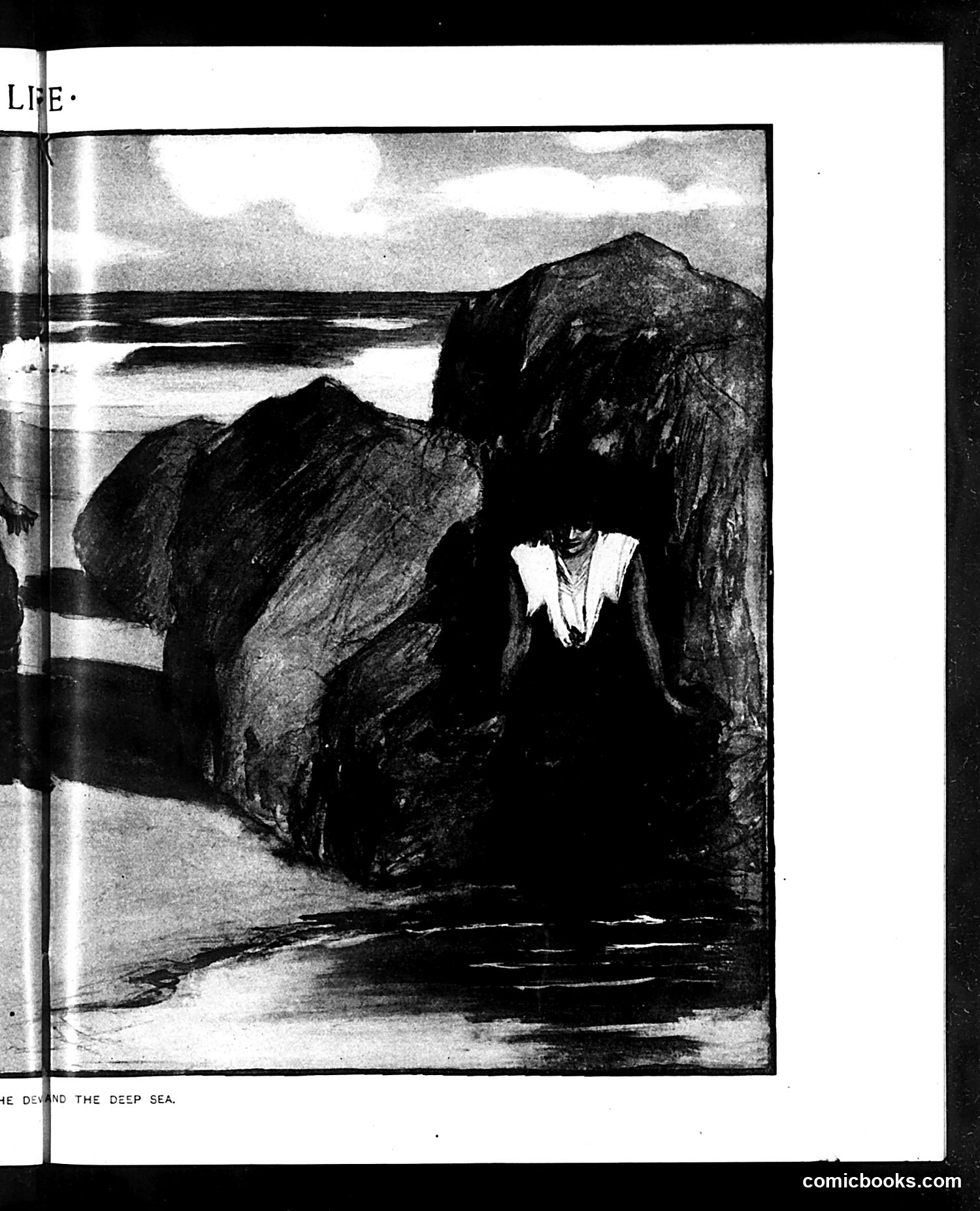 Life — August 6, 1903 — page 17 of 32