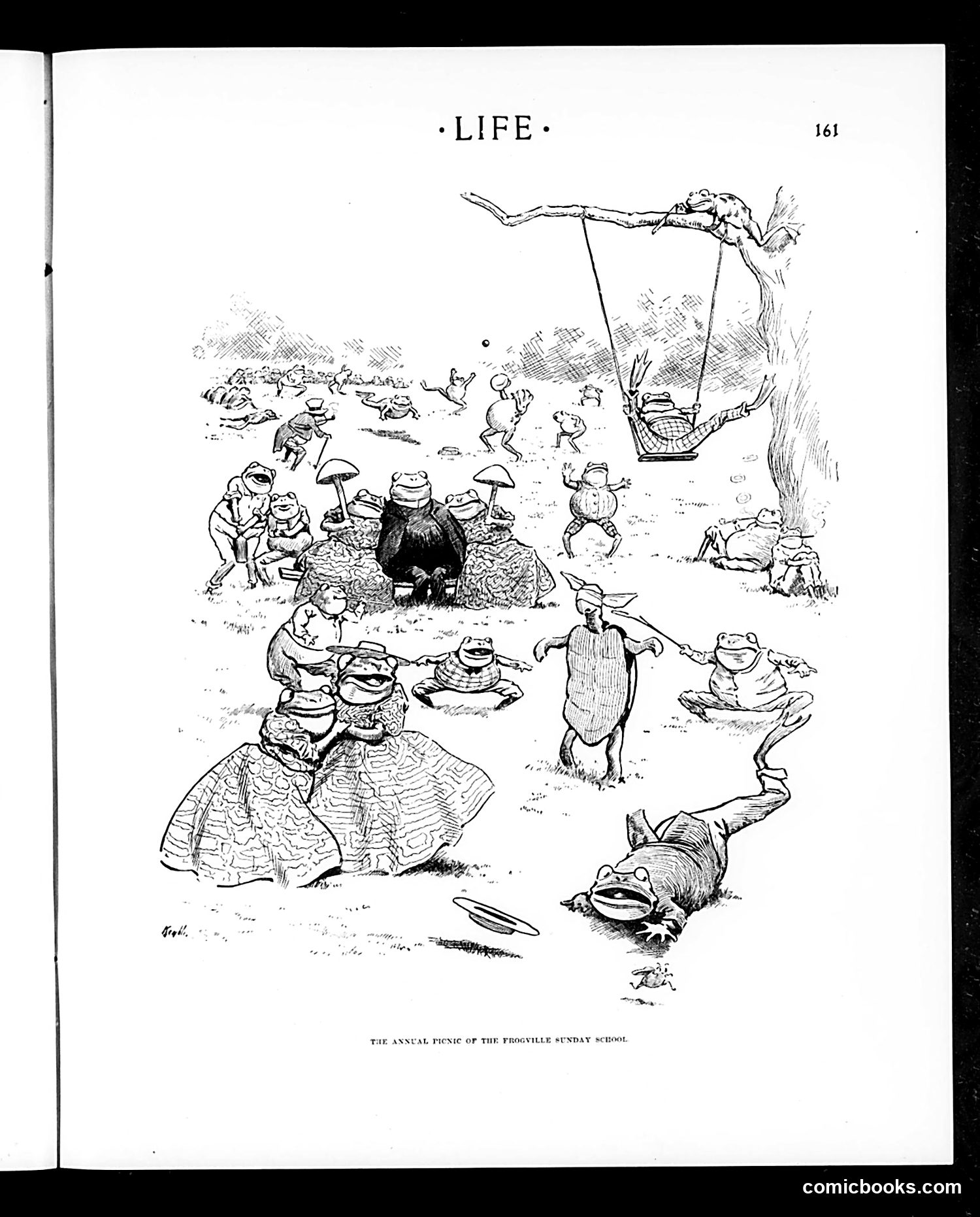 Life — August 13, 1903 — page 15 of 24
