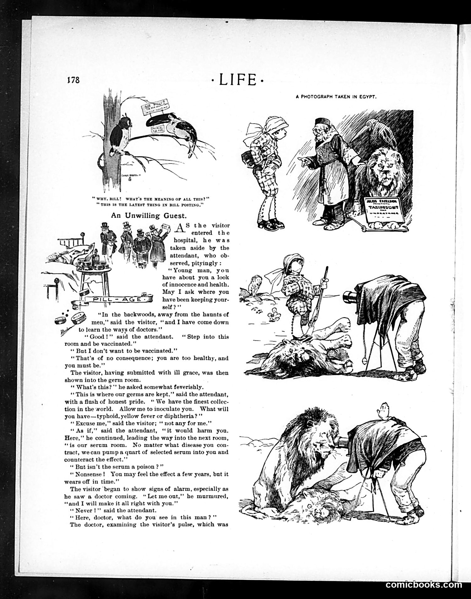Life — August 20, 1903 — page 16 of 32