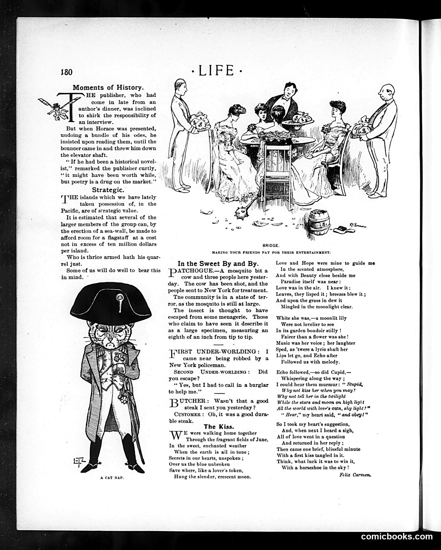 Life — August 20, 1903 — page 18 of 32