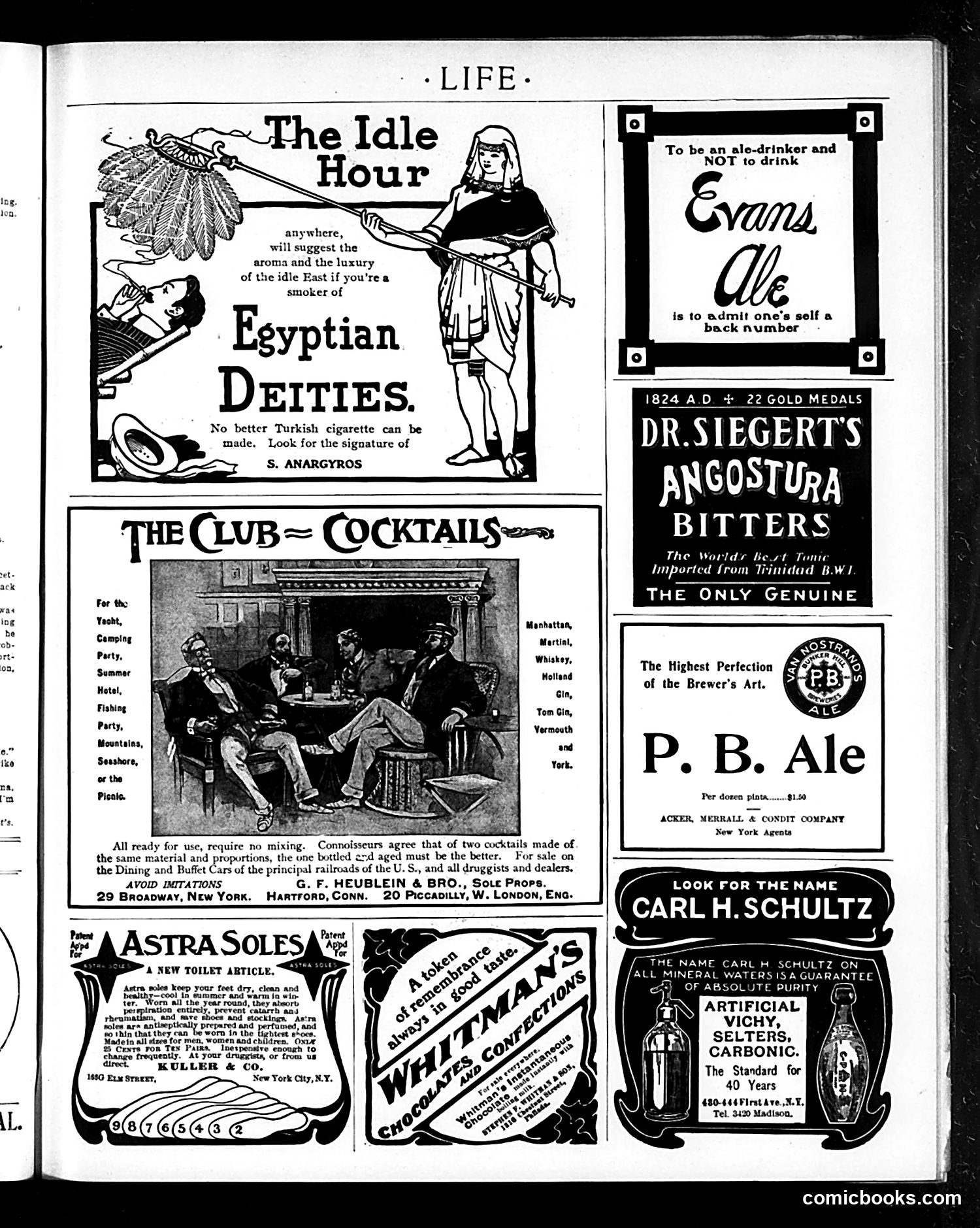 Life — August 20, 1903 — page 21 of 32