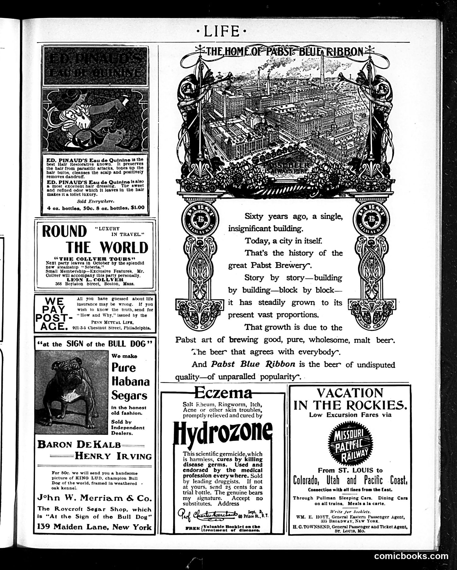 Life — August 20, 1903 — page 23 of 32