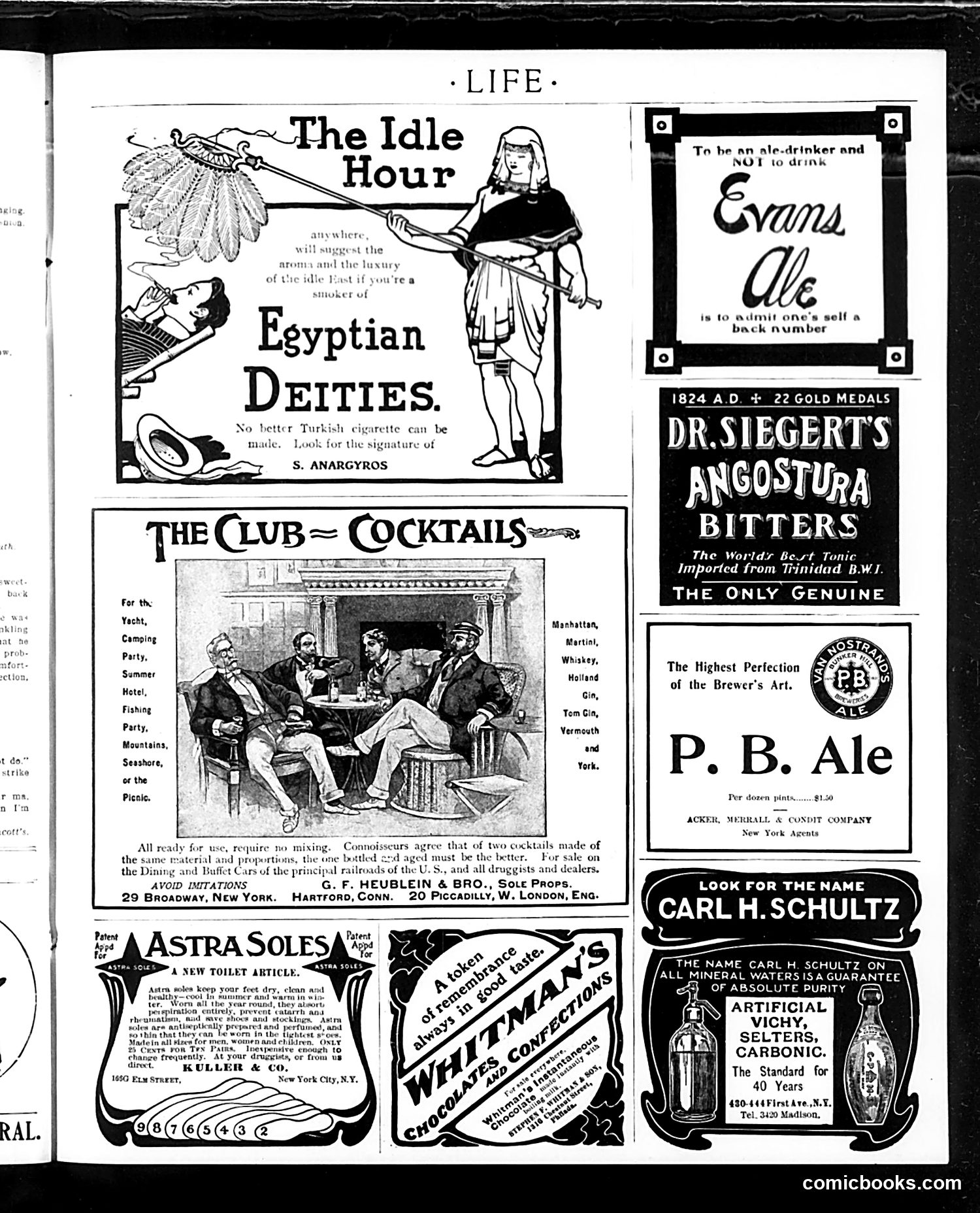 Life — August 20, 1903 — page 27 of 32