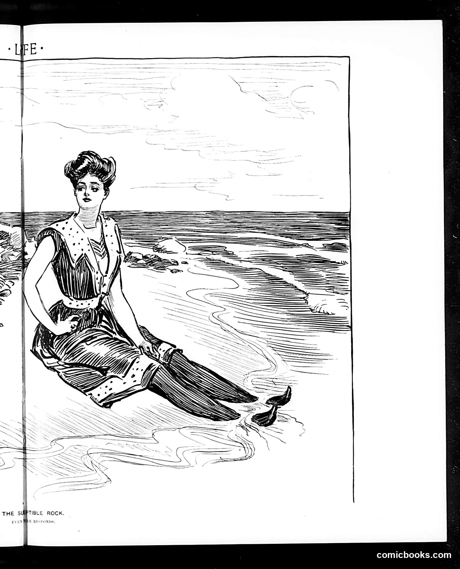 Life — August 27, 1903 — page 11 of 20