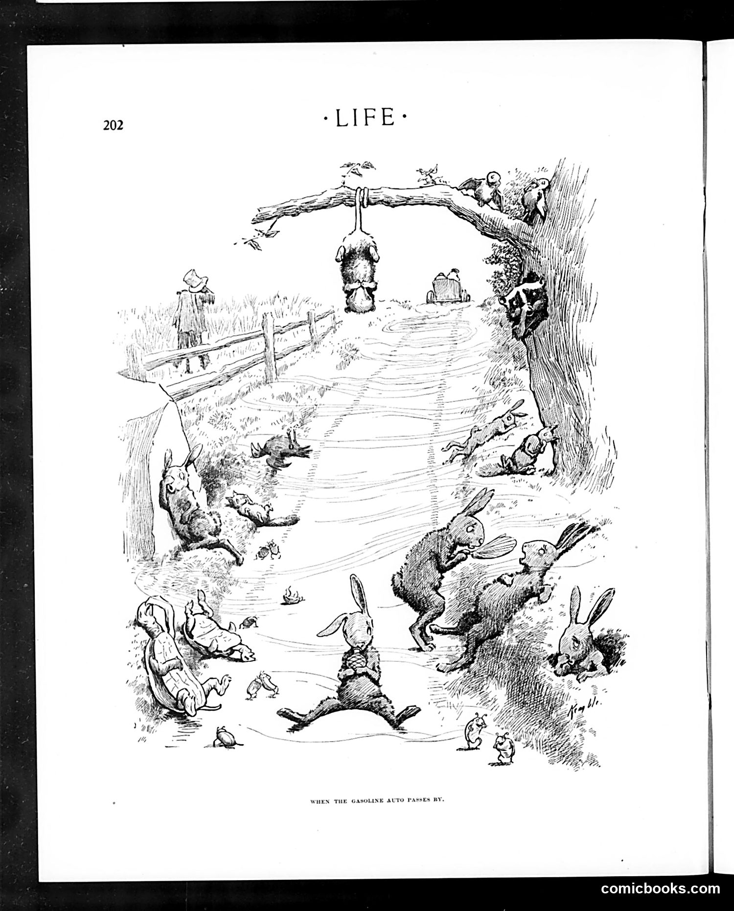 Life — August 27, 1903 — page 14 of 20