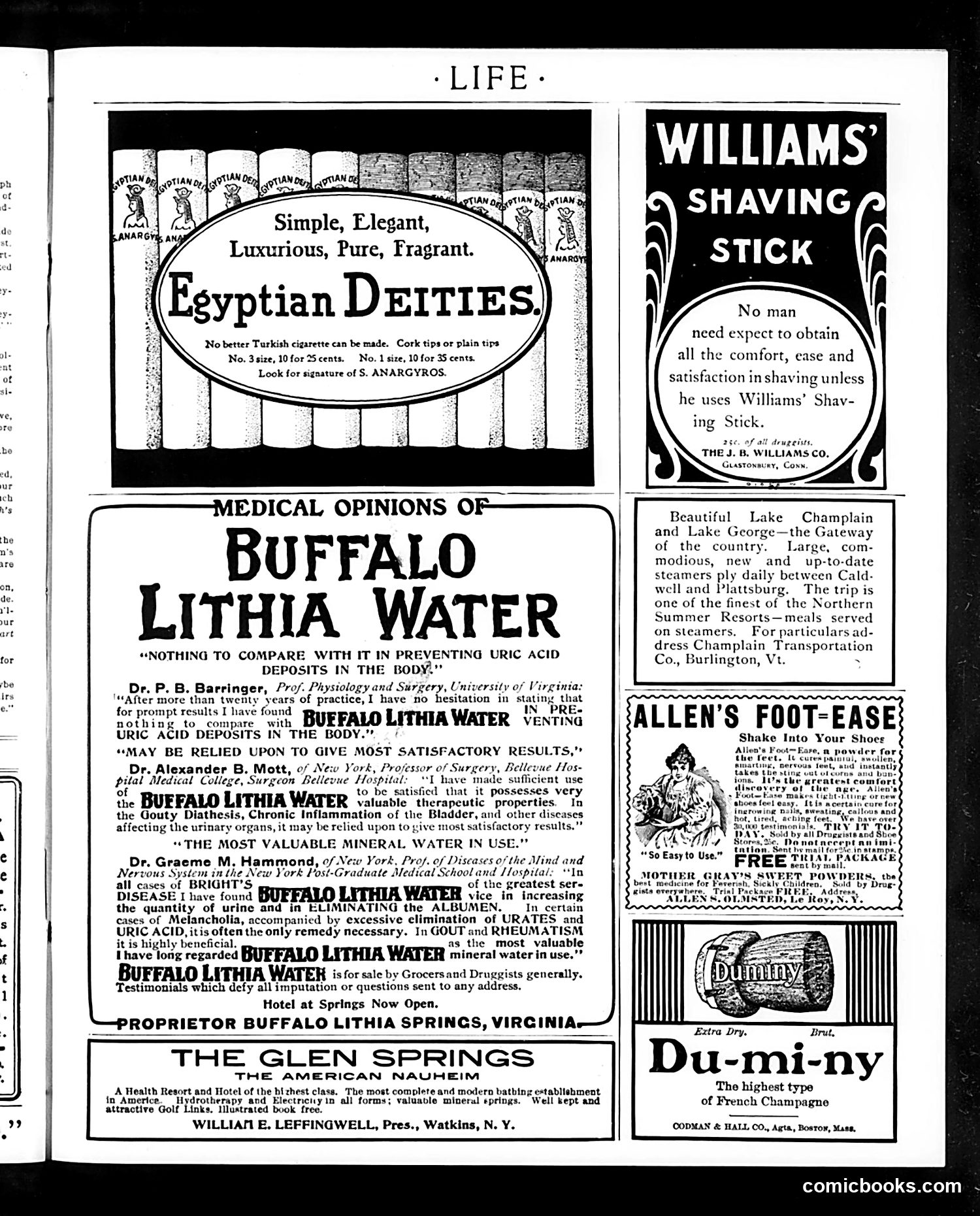 Life — August 27, 1903 — page 17 of 20