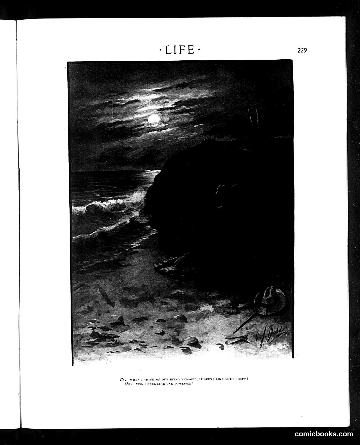 Life — September 3, 1903 — page 21 of 32