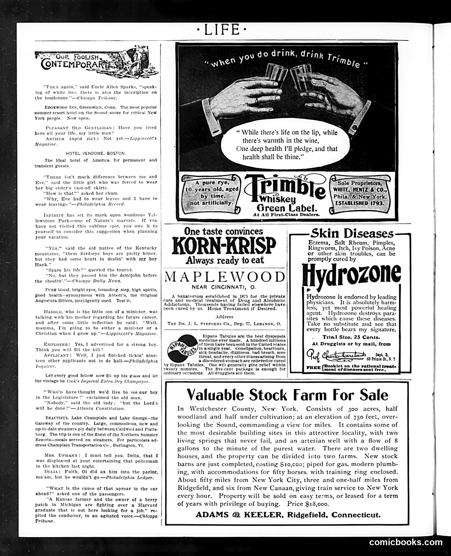 Life — September 3, 1903 — page 24 of 32