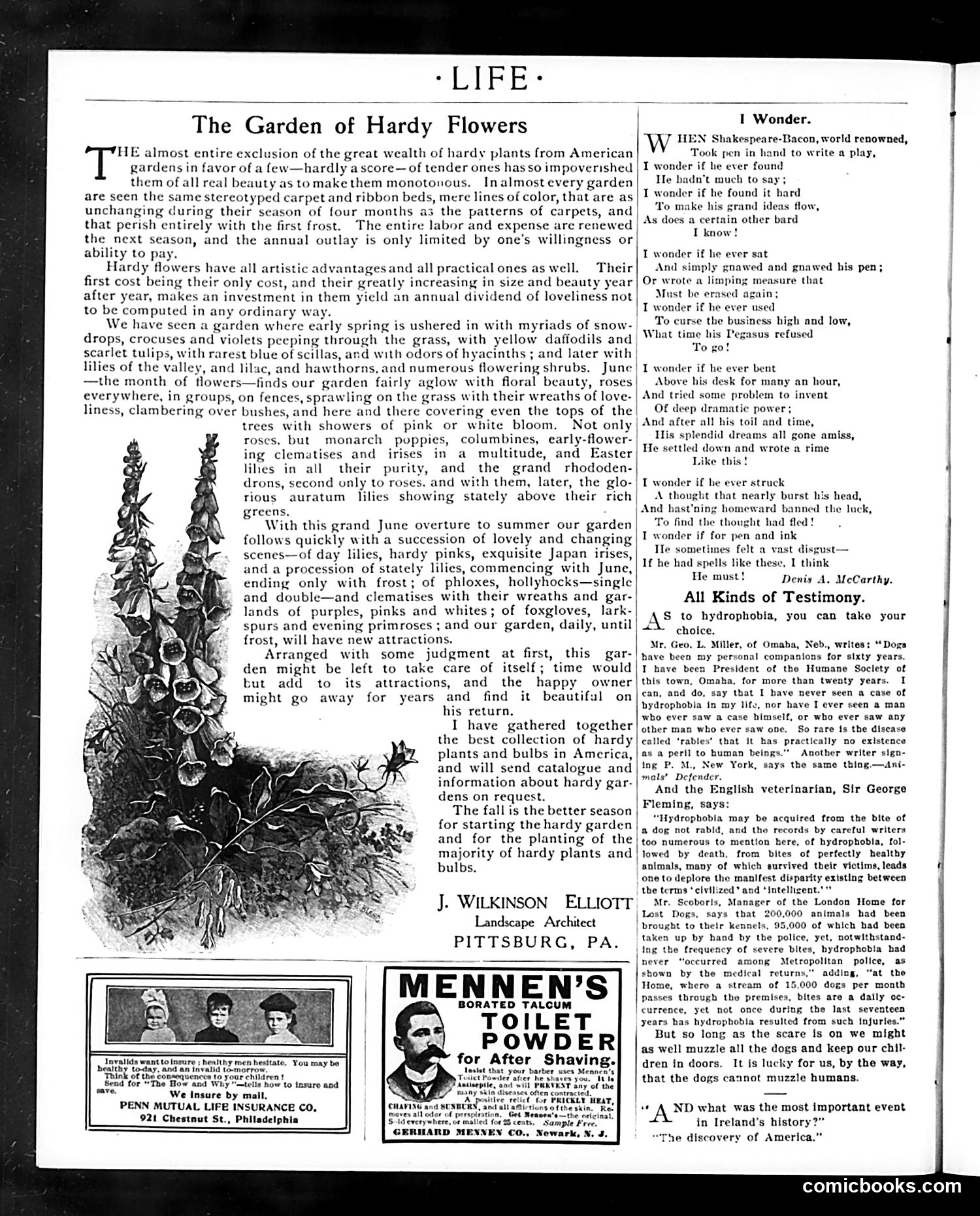 Life — September 3, 1903 — page 26 of 32