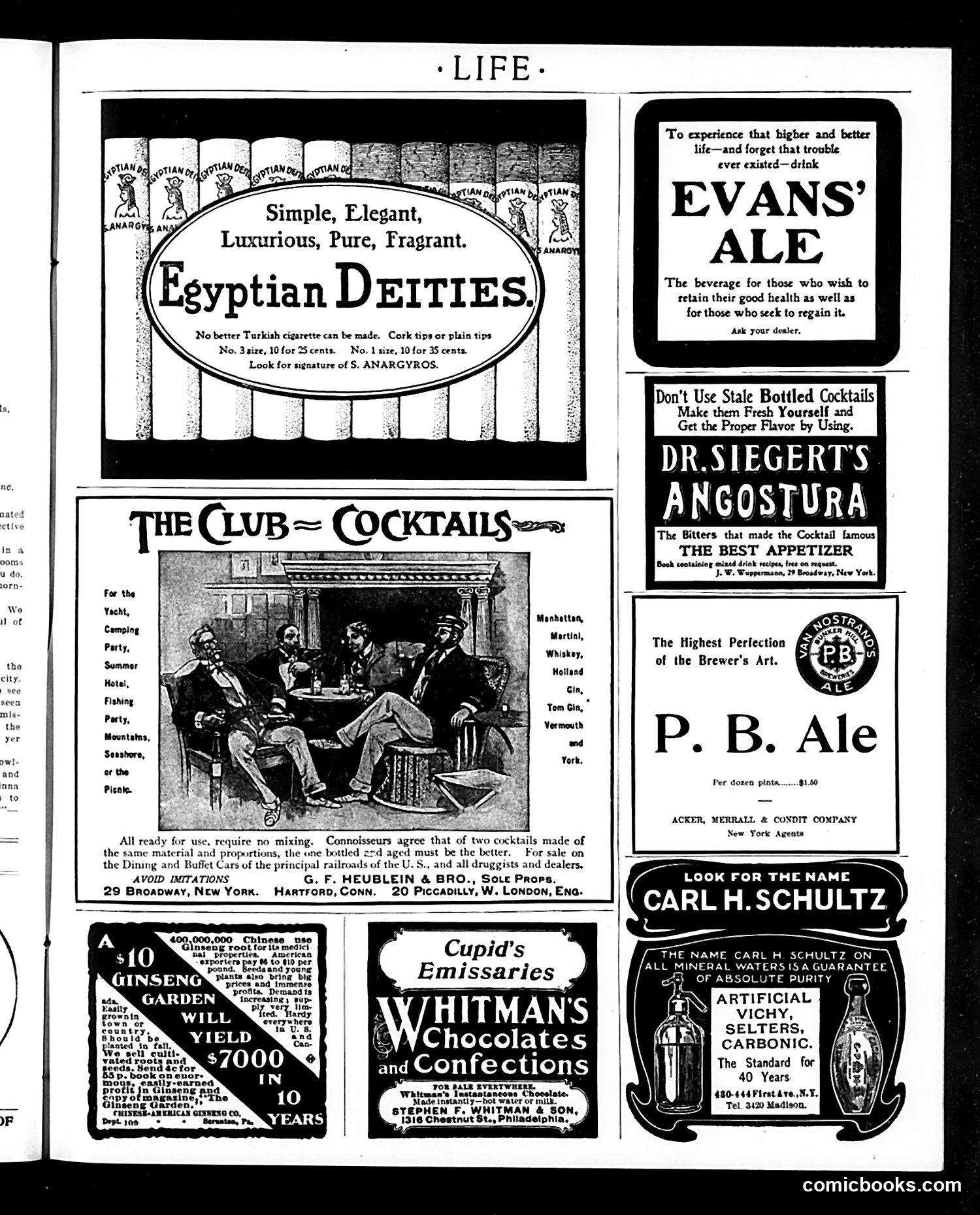 Life — September 17, 1903 — page 17 of 20