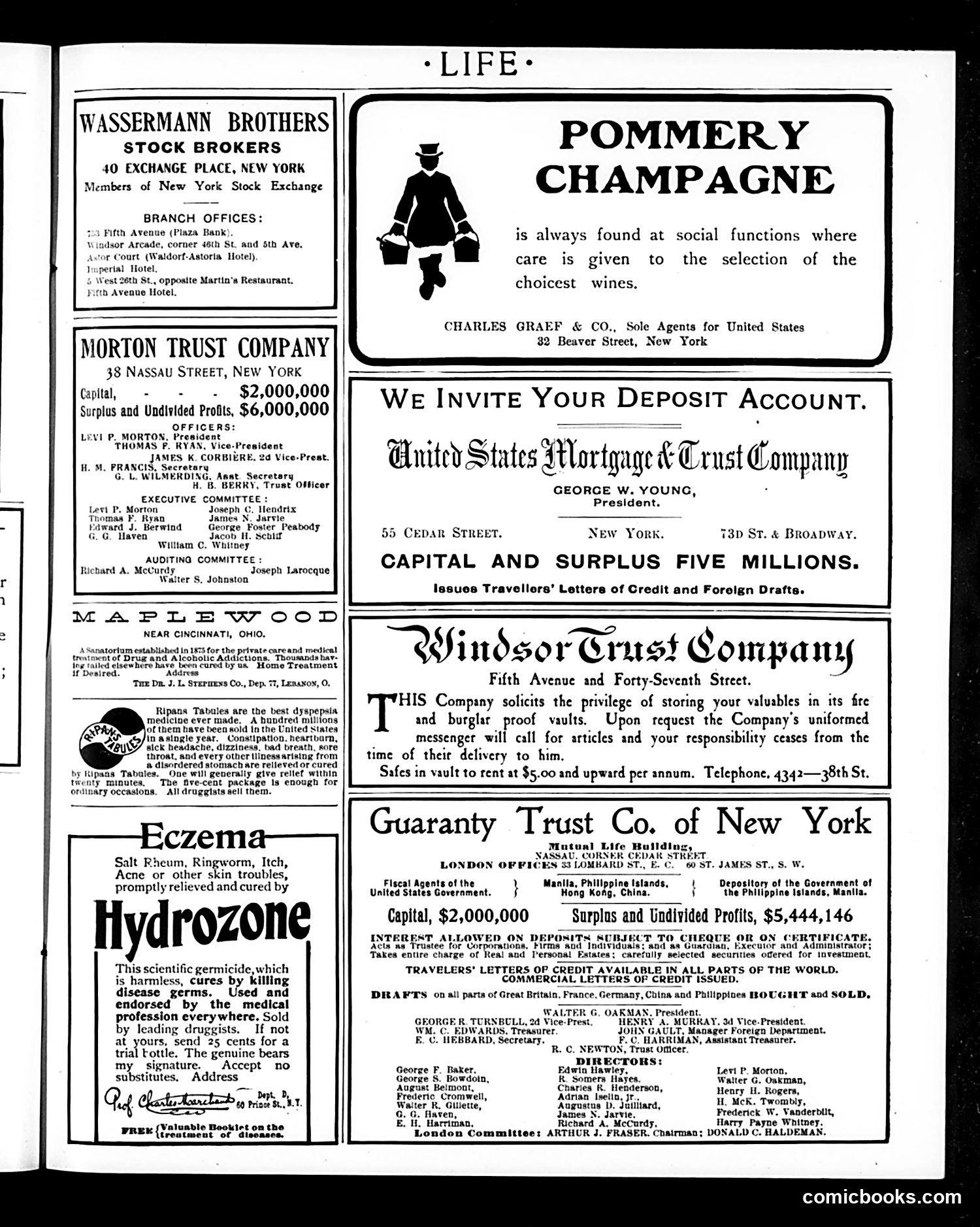 Life — September 17, 1903 — page 19 of 20