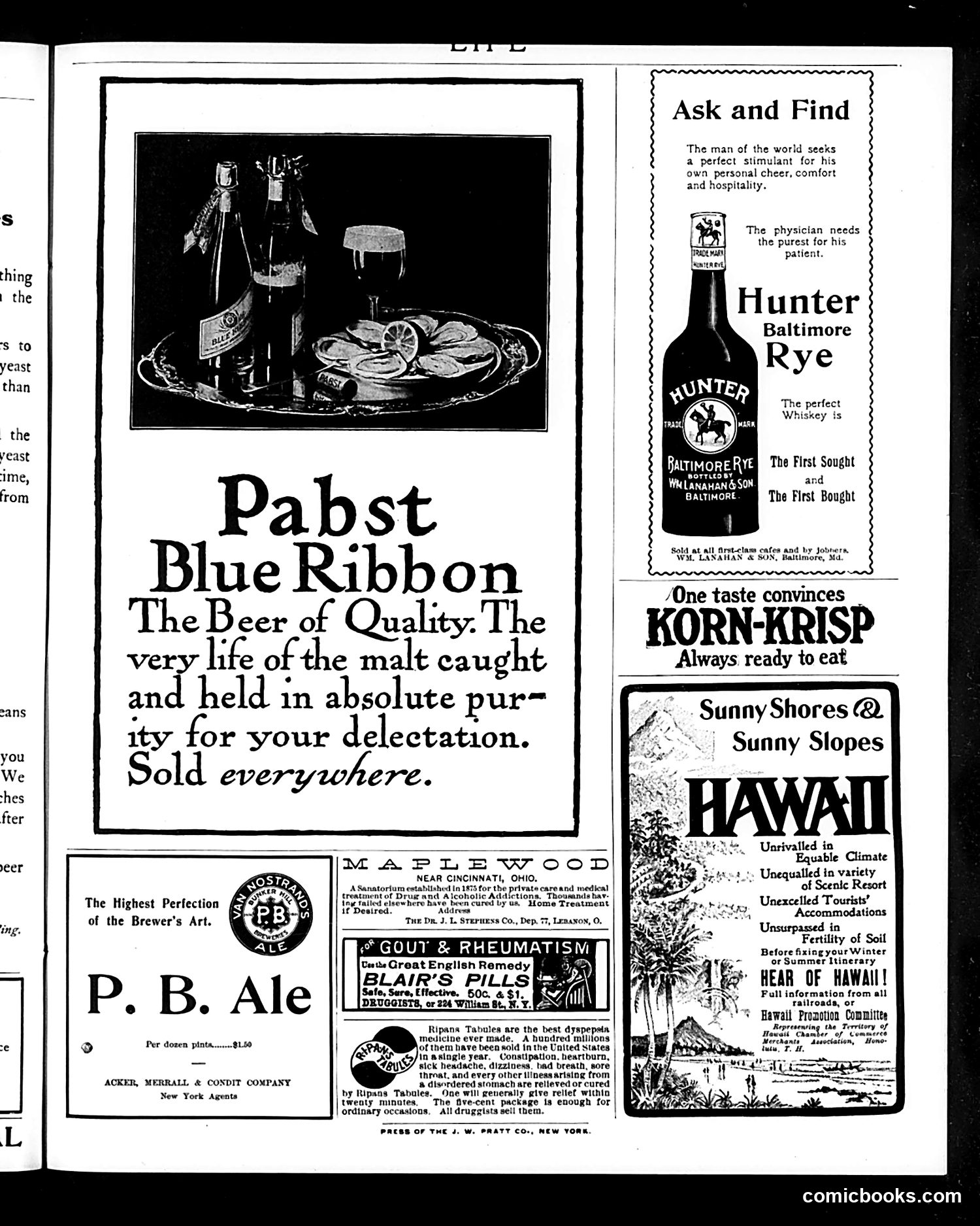 Life — September 24, 1903 — page 19 of 20