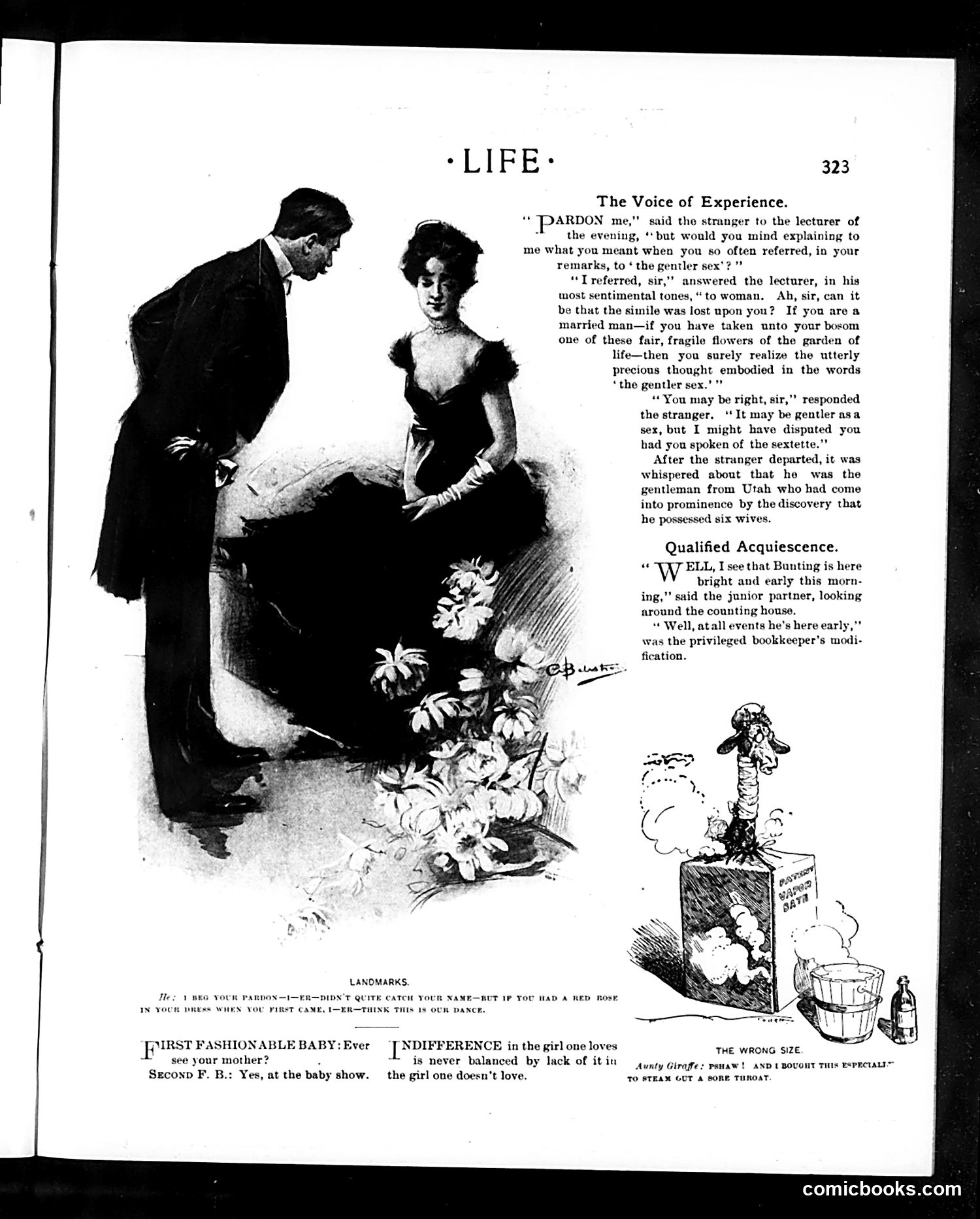 Life — October 1, 1903 — page 23 of 36