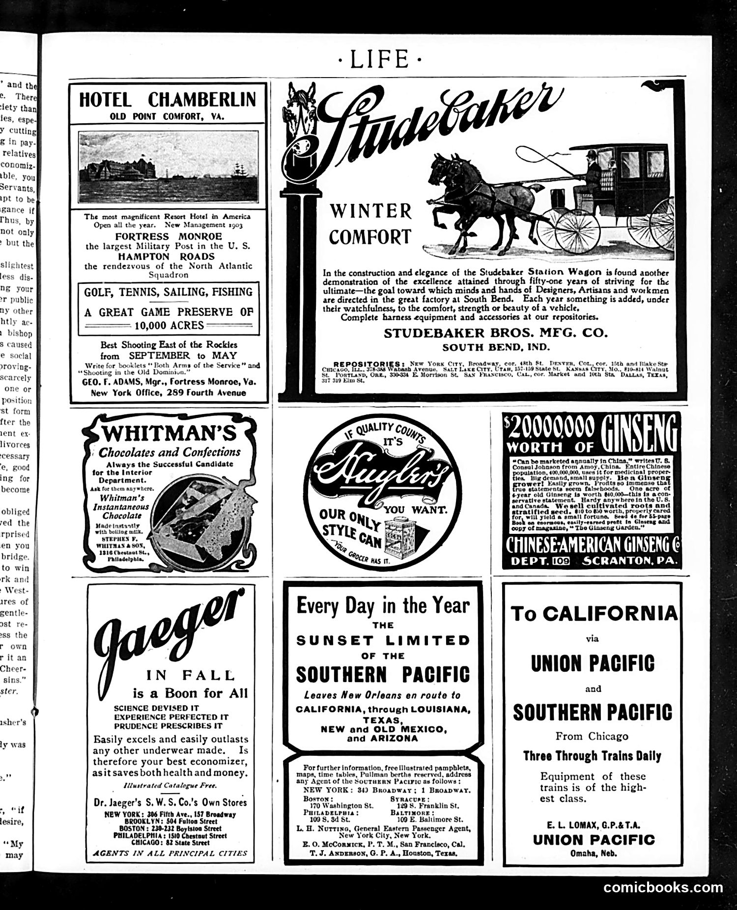 Life — October 1, 1903 — page 29 of 36