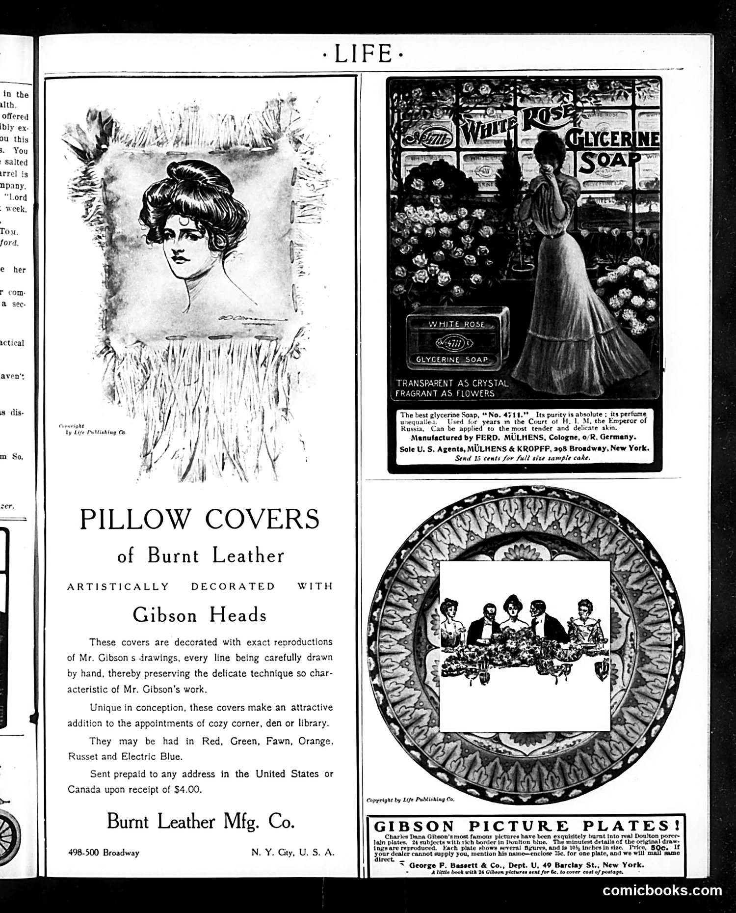 Life — October 1, 1903 — page 35 of 36