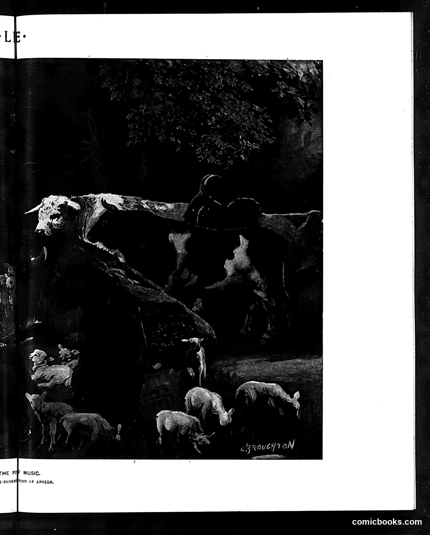 Life — October 8, 1903 — page 11 of 20