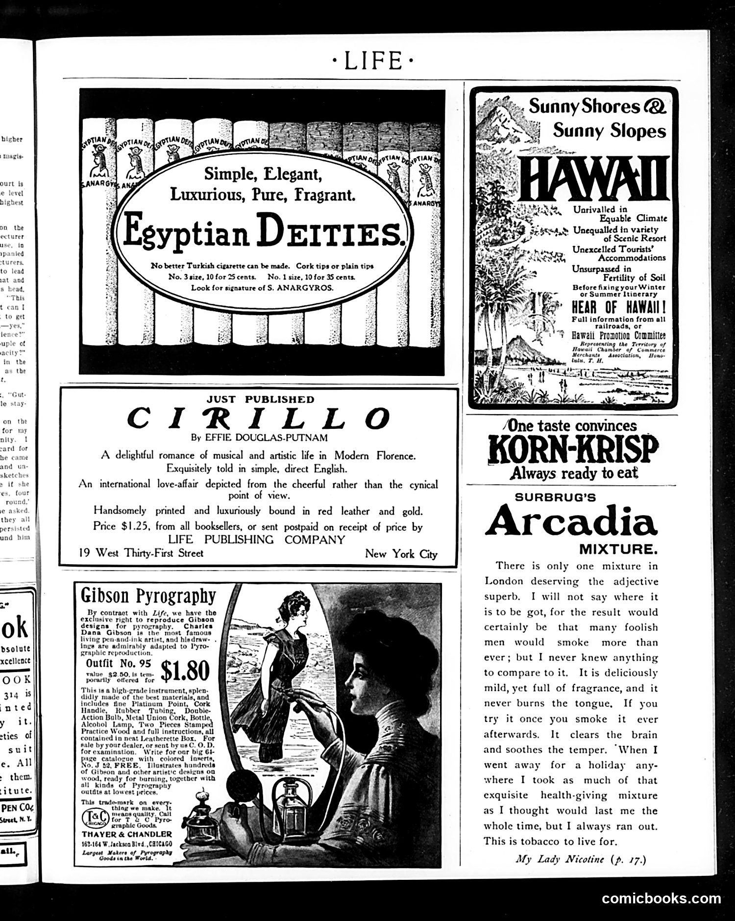 Life — October 8, 1903 — page 17 of 20