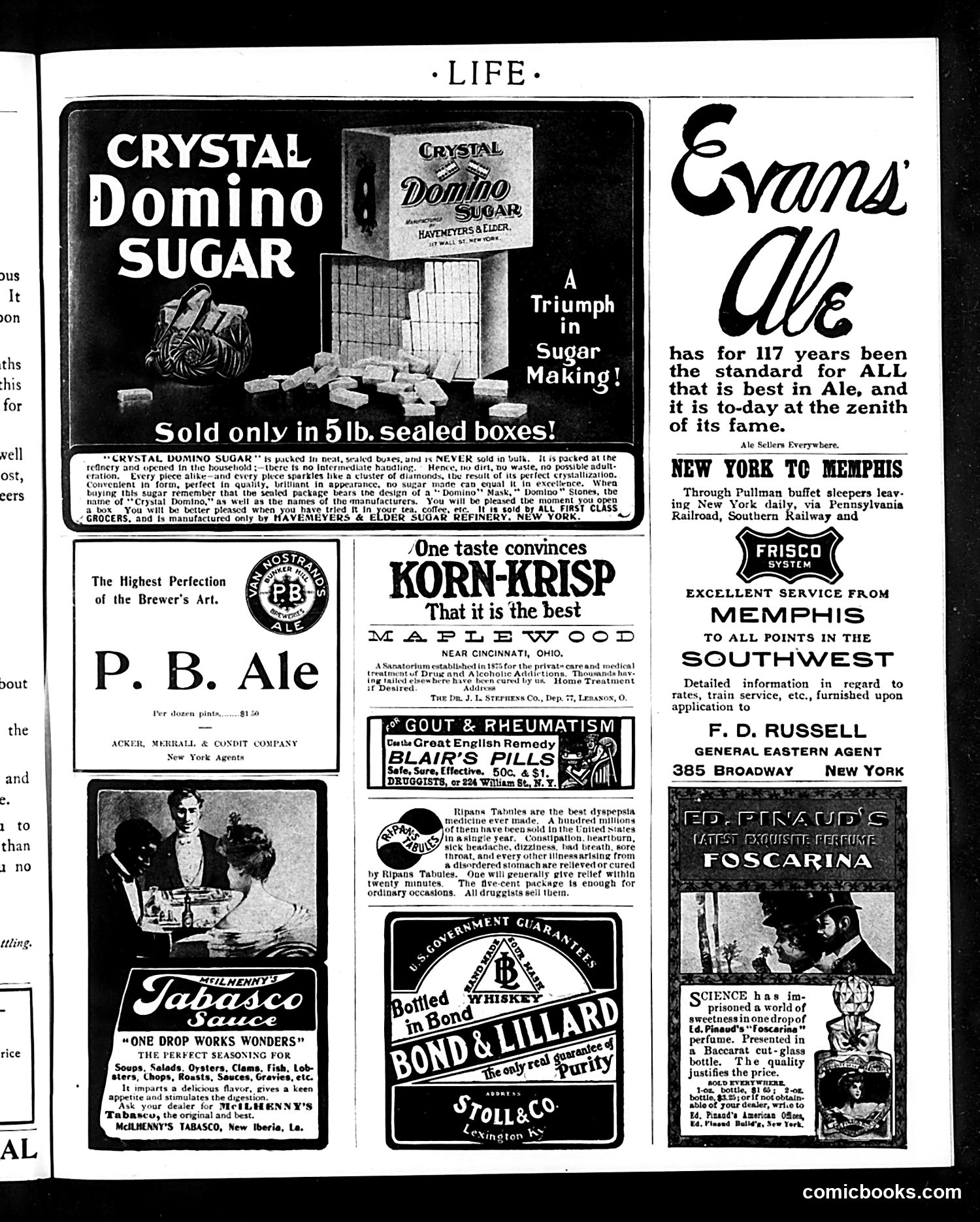 Life — October 8, 1903 — page 19 of 20