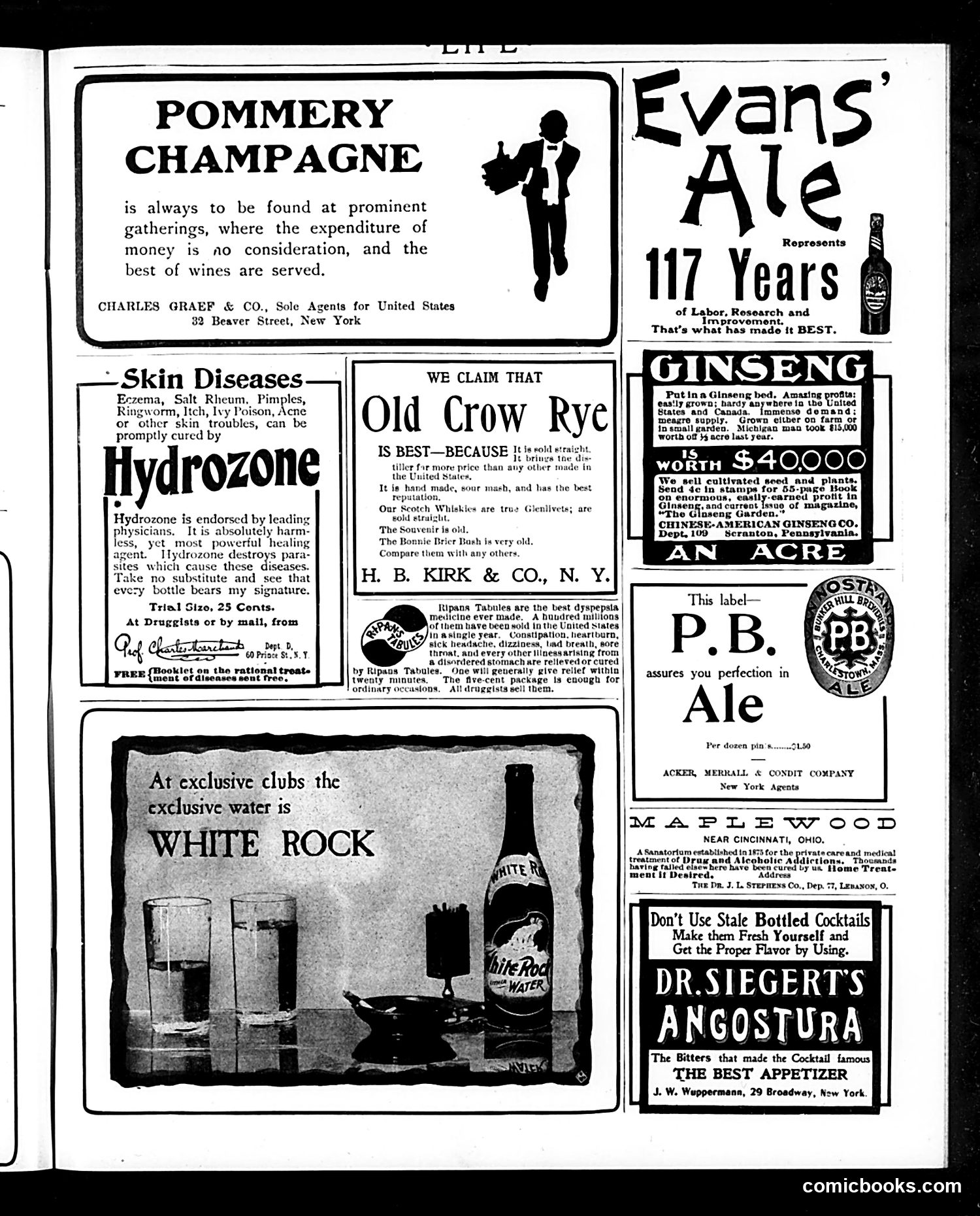 Life — October 15, 1903 — page 21 of 24