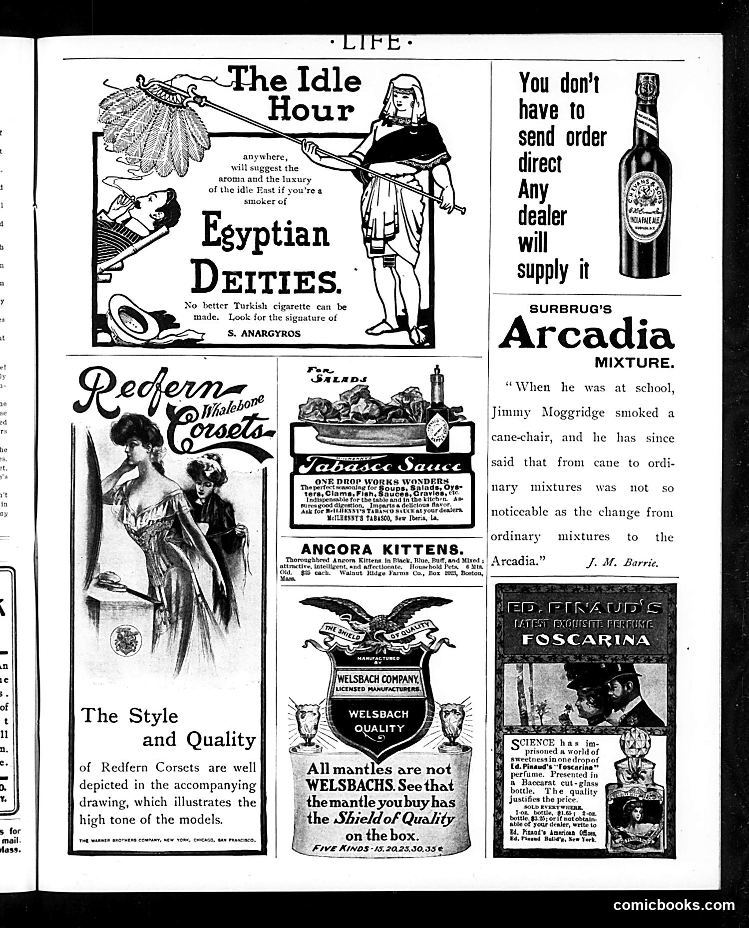 Life — October 22, 1903 — page 17 of 20