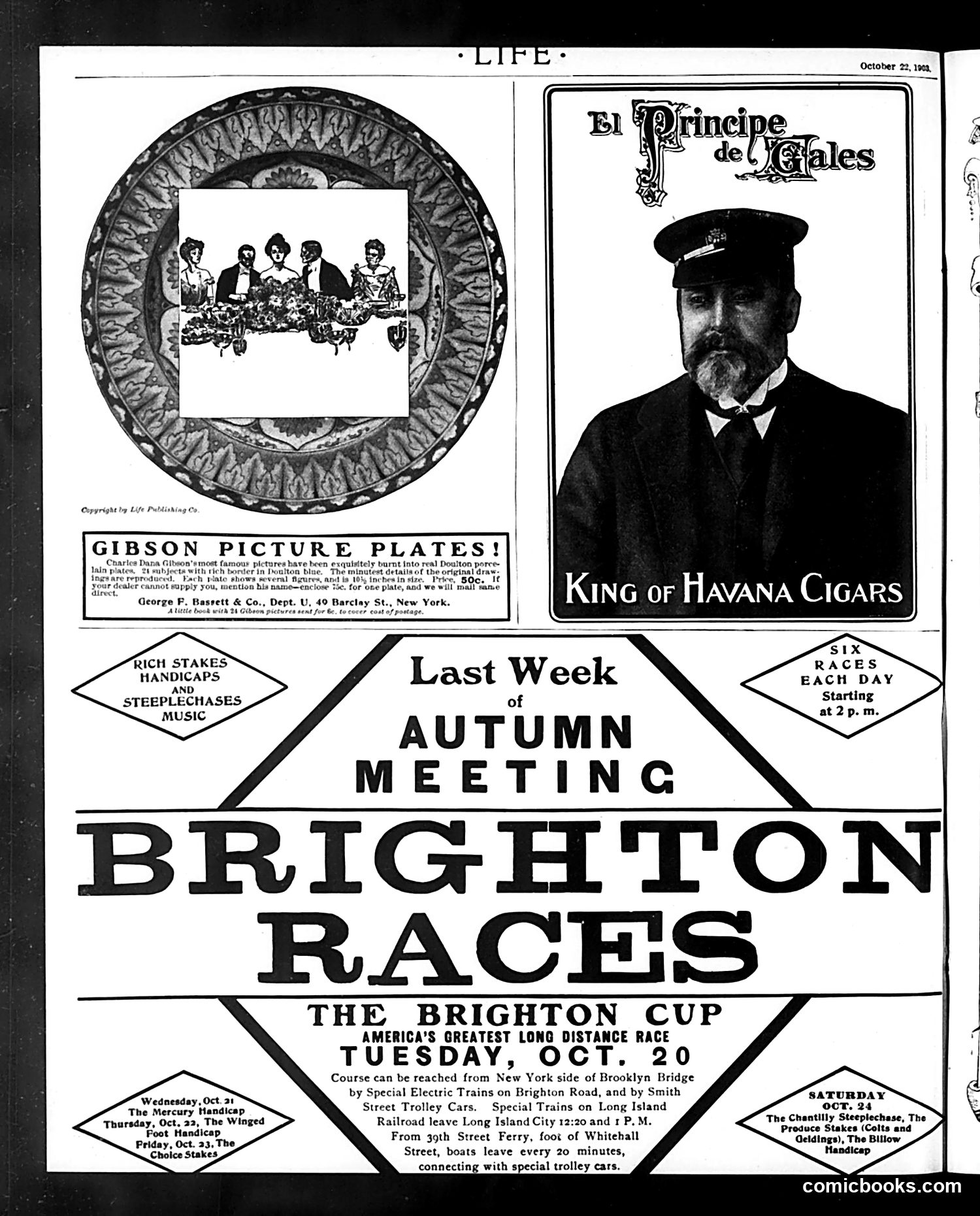 Life — October 22, 1903 — page 20 of 20