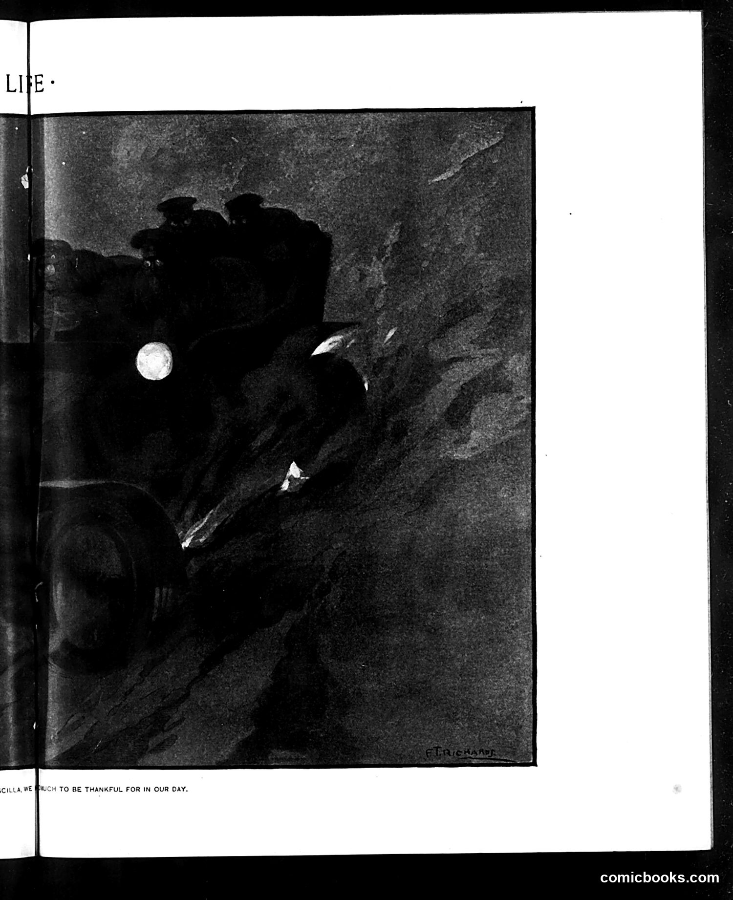 Life — November 5, 1903 — page 19 of 38