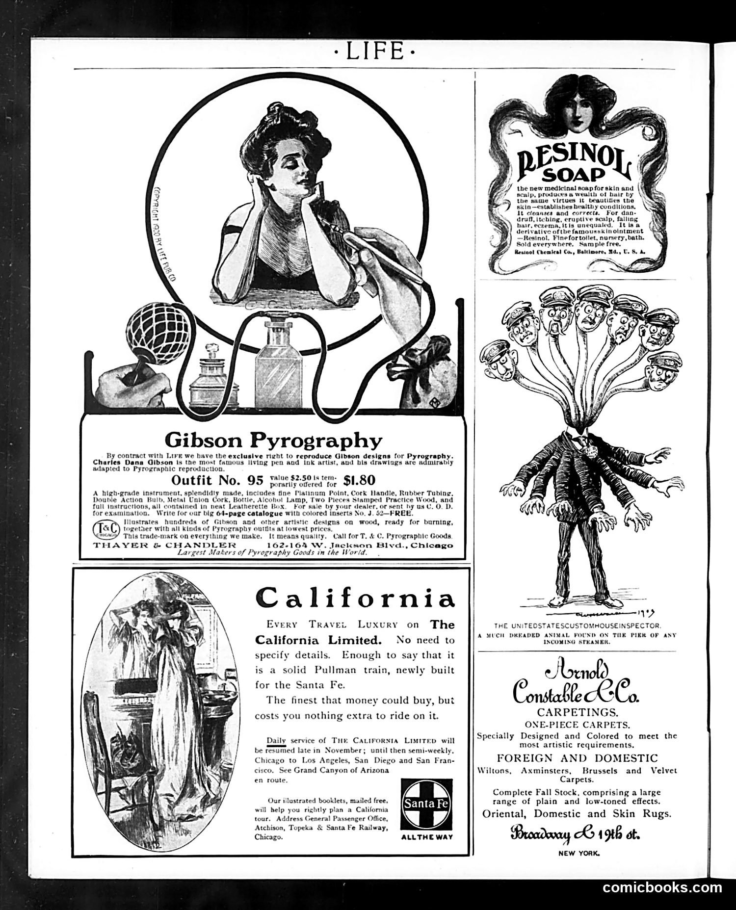Life — November 5, 1903 — page 30 of 38