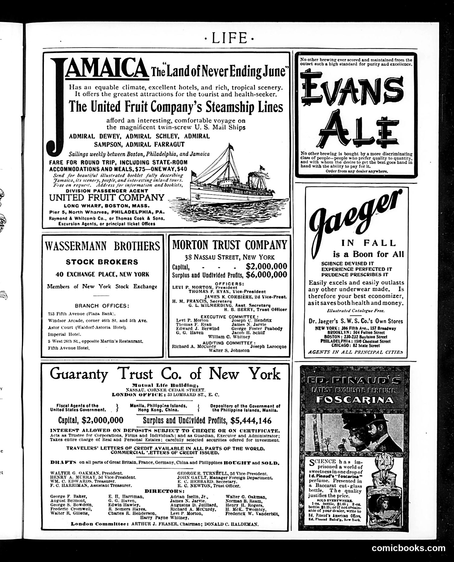 Life — November 5, 1903 — page 31 of 38
