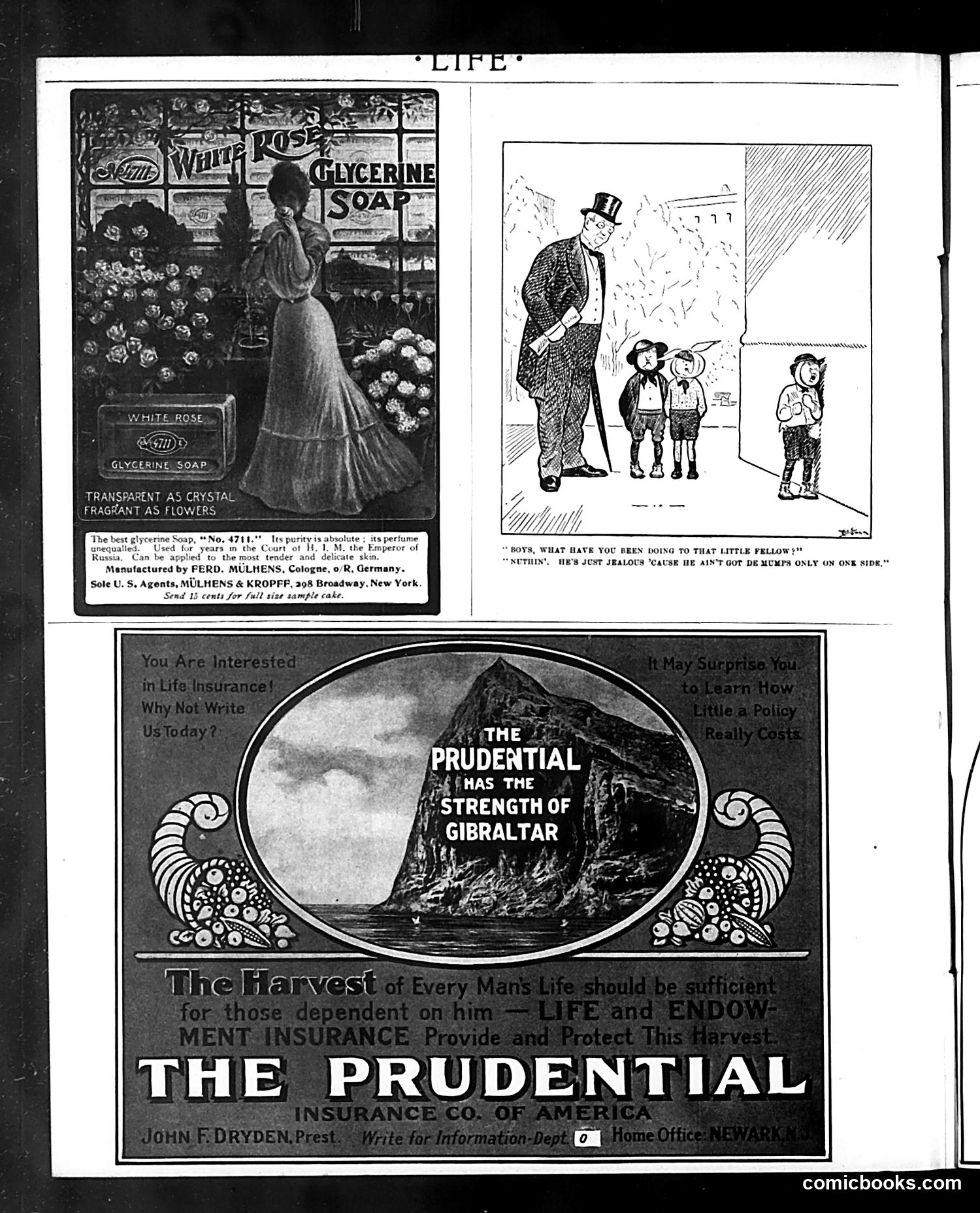 Life — November 5, 1903 — page 36 of 38