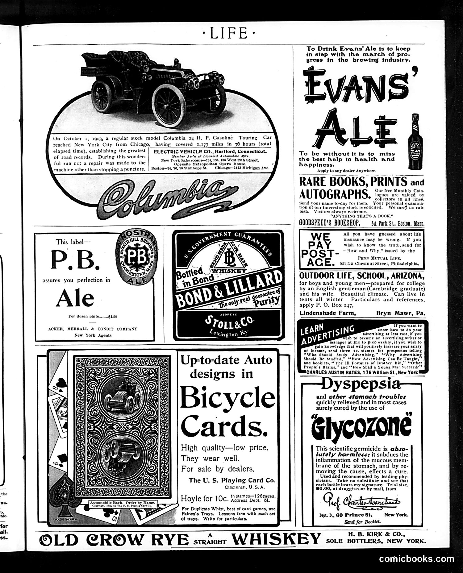 Life — November 12, 1903 — page 19 of 20