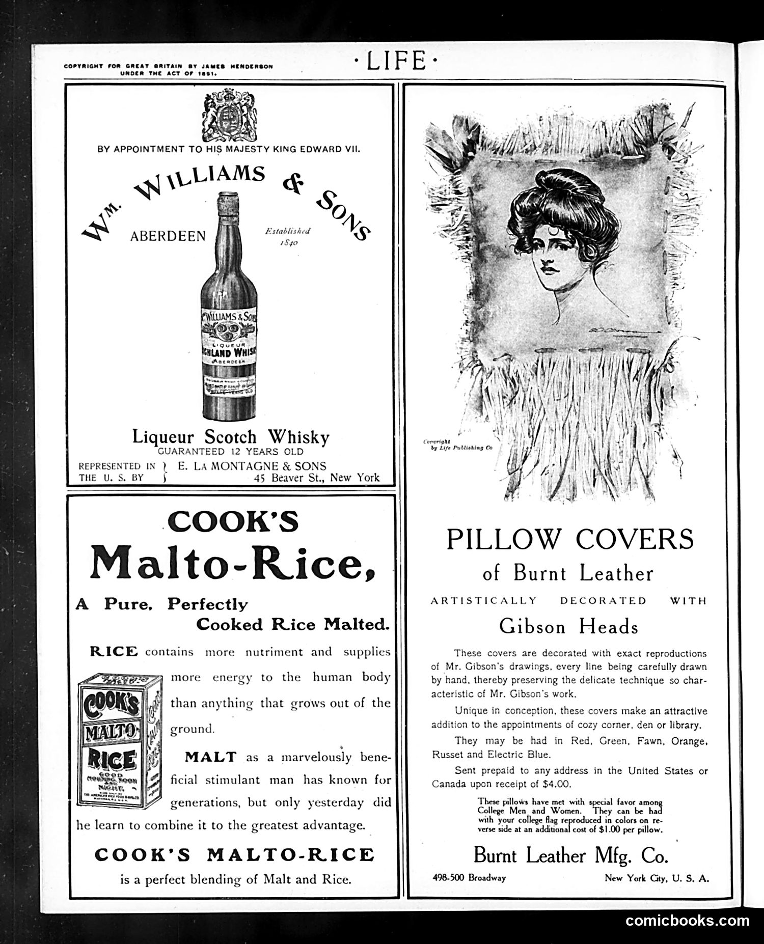 Life — November 19, 1903 — page 2 of 22