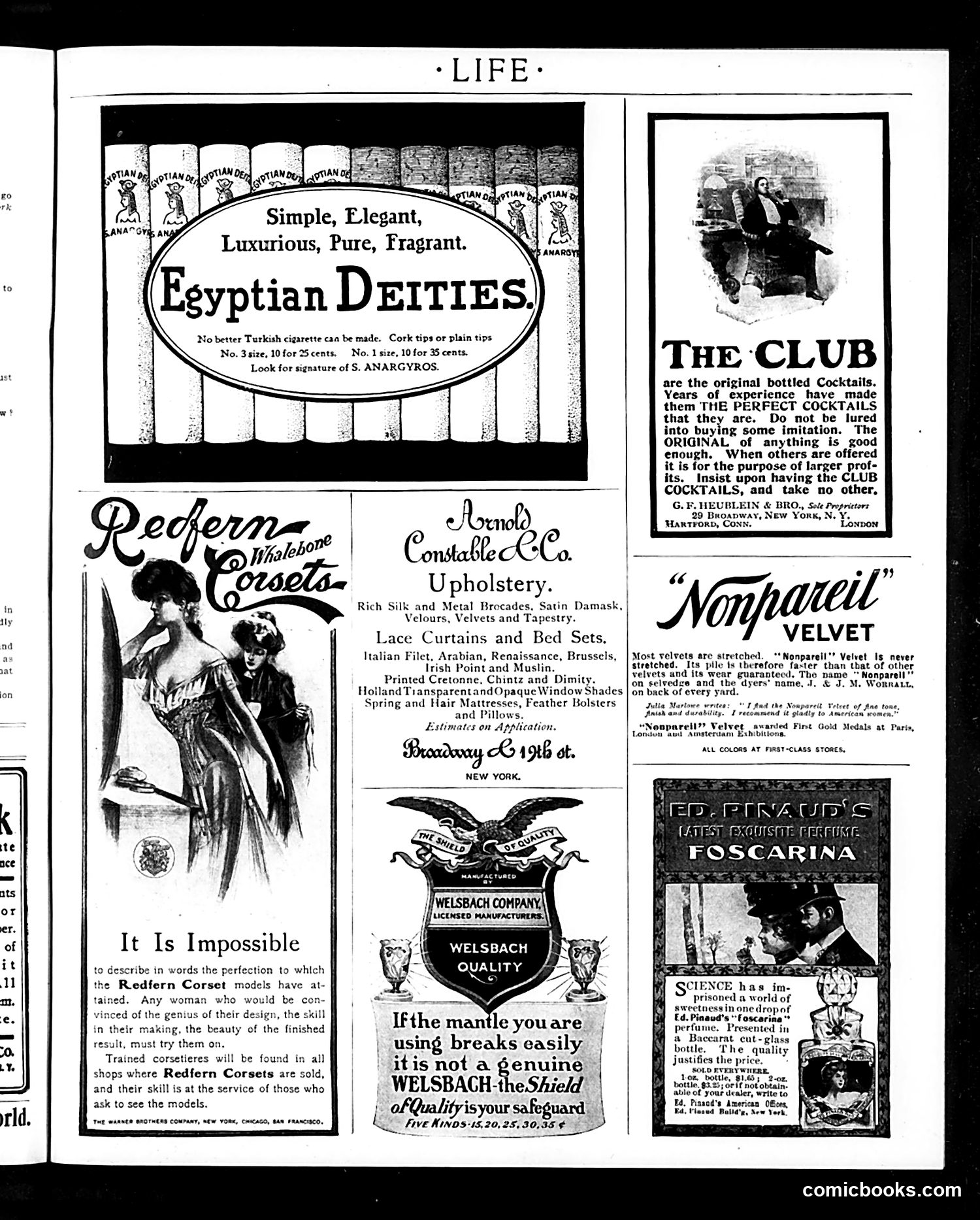 Life — November 19, 1903 — page 17 of 22