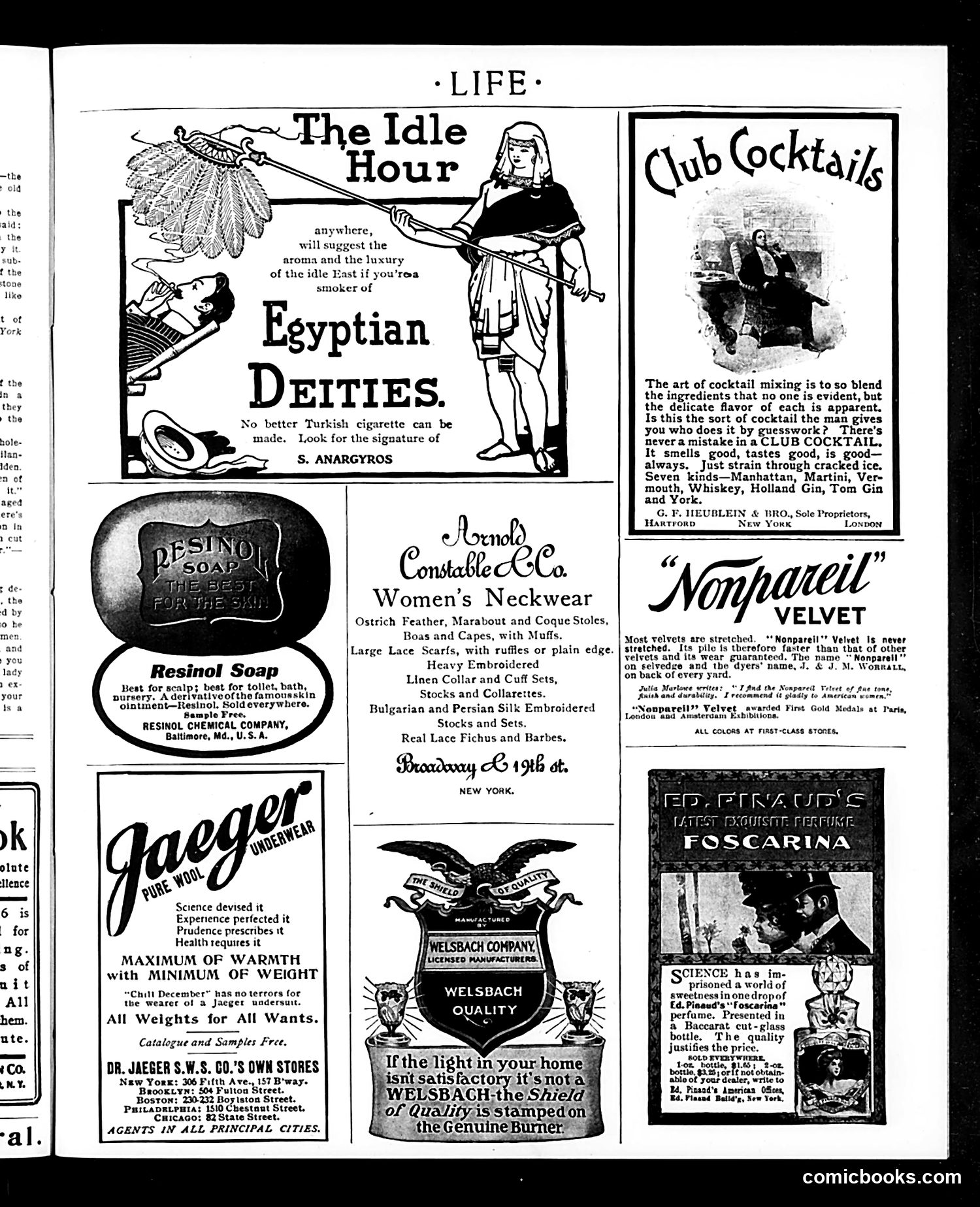 Life — December 3, 1903 — page 17 of 22