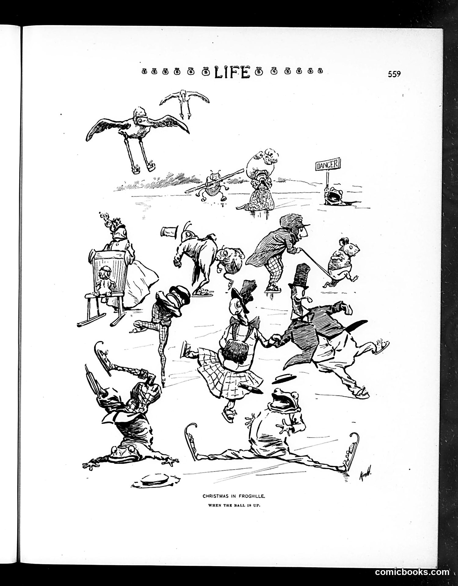 Life — December 10, 1903 — page 21 of 58