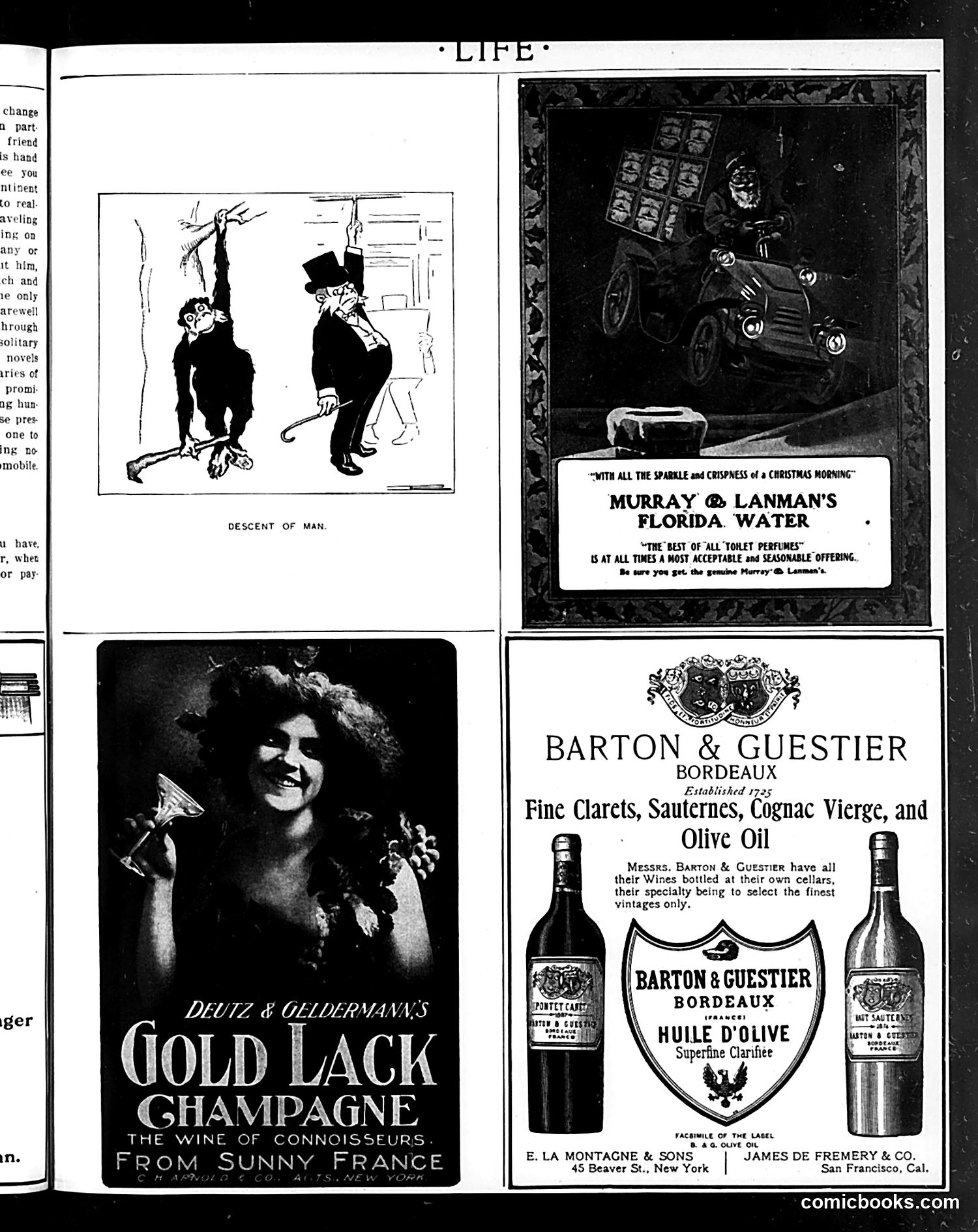 Life — December 10, 1903 — page 53 of 58